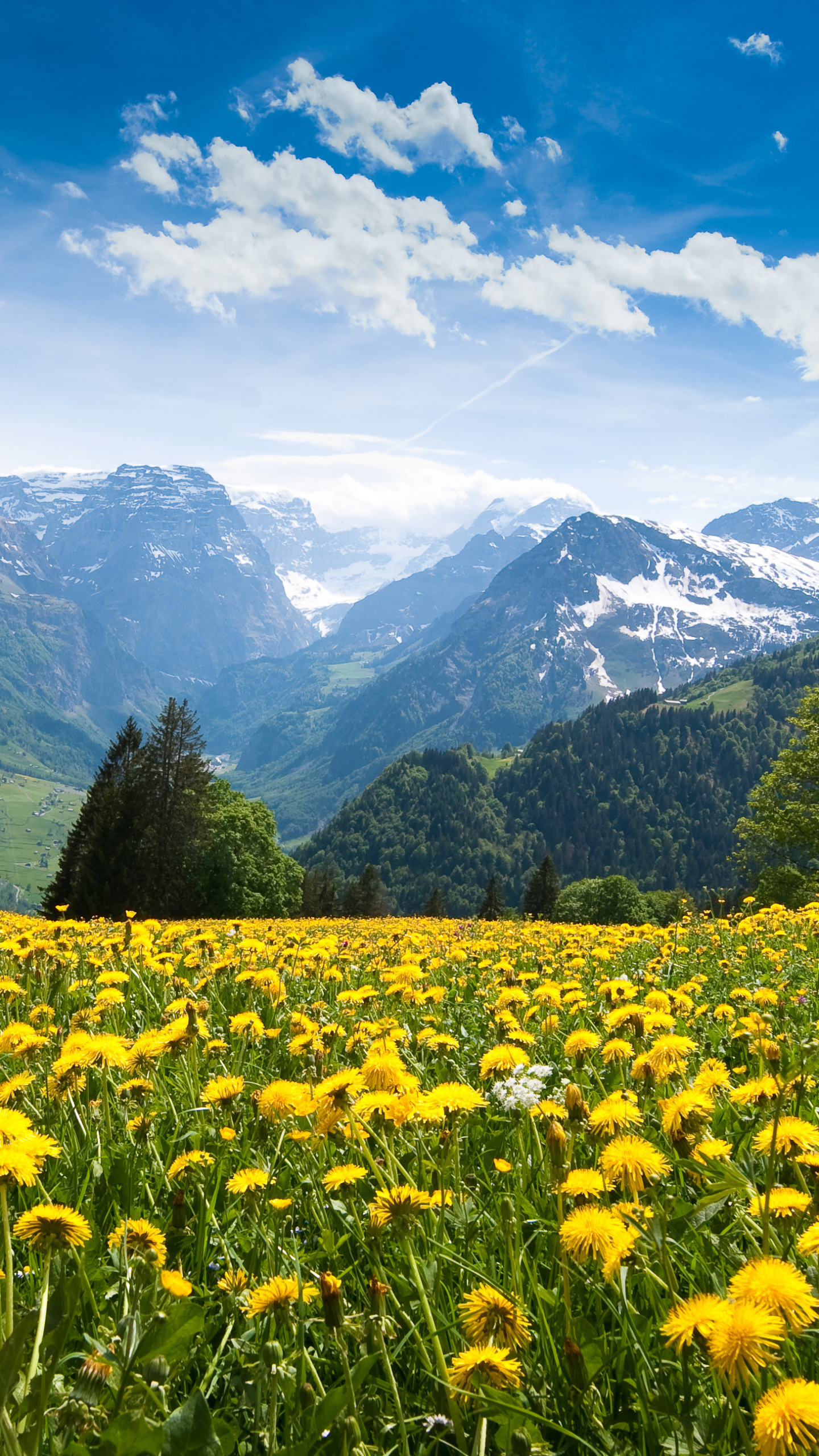 Download mobile wallpaper Landscape, Nature, Mountain, Earth, Dandelion, Yellow Flower for free.