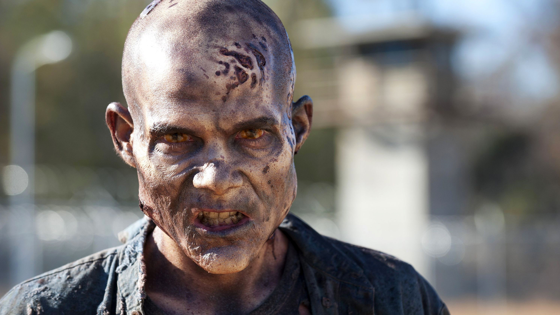 Baixar papel de parede para celular de Programa De Tv, Zumbi, Fear The Walking Dead gratuito.
