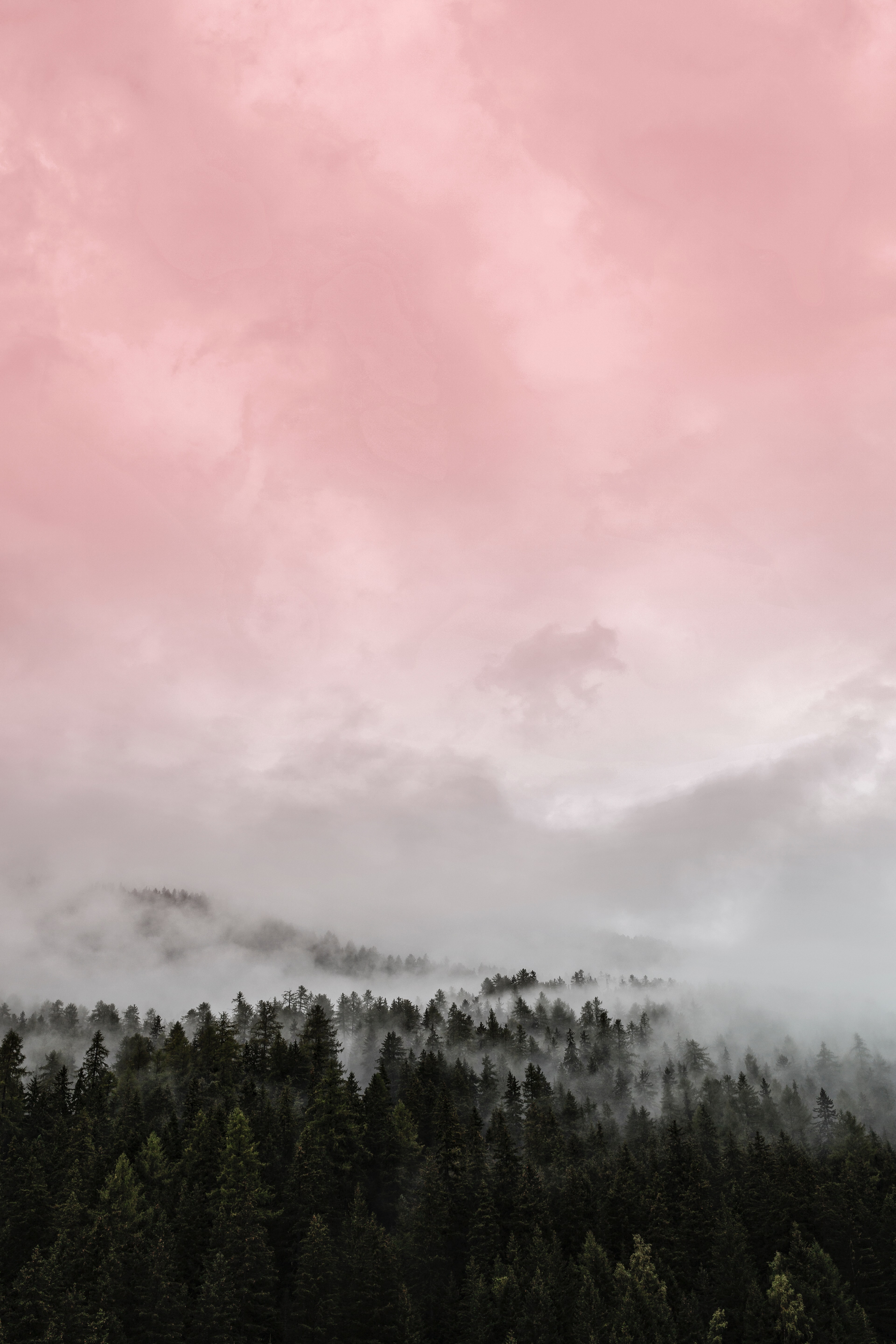Download mobile wallpaper Fog, Nature, Forest, Pink for free.