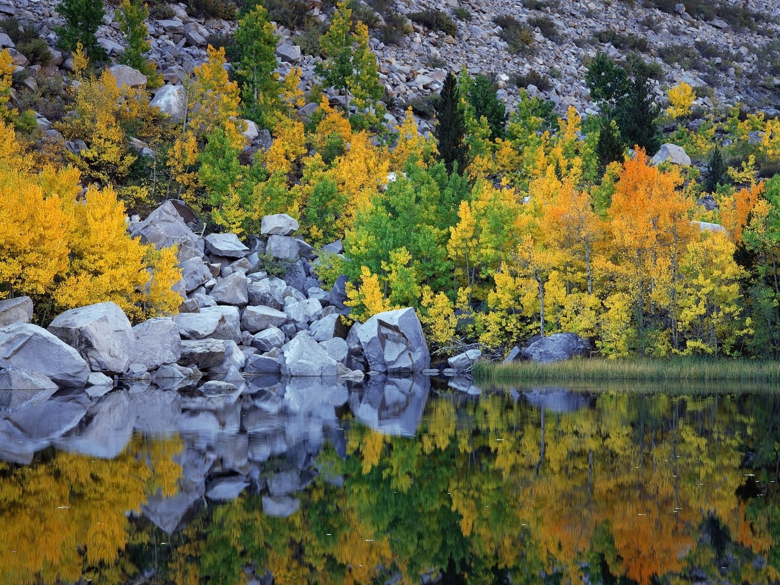 Laden Sie das Natur, Seen, See, Stein, Erde/natur, Spiegelung-Bild kostenlos auf Ihren PC-Desktop herunter