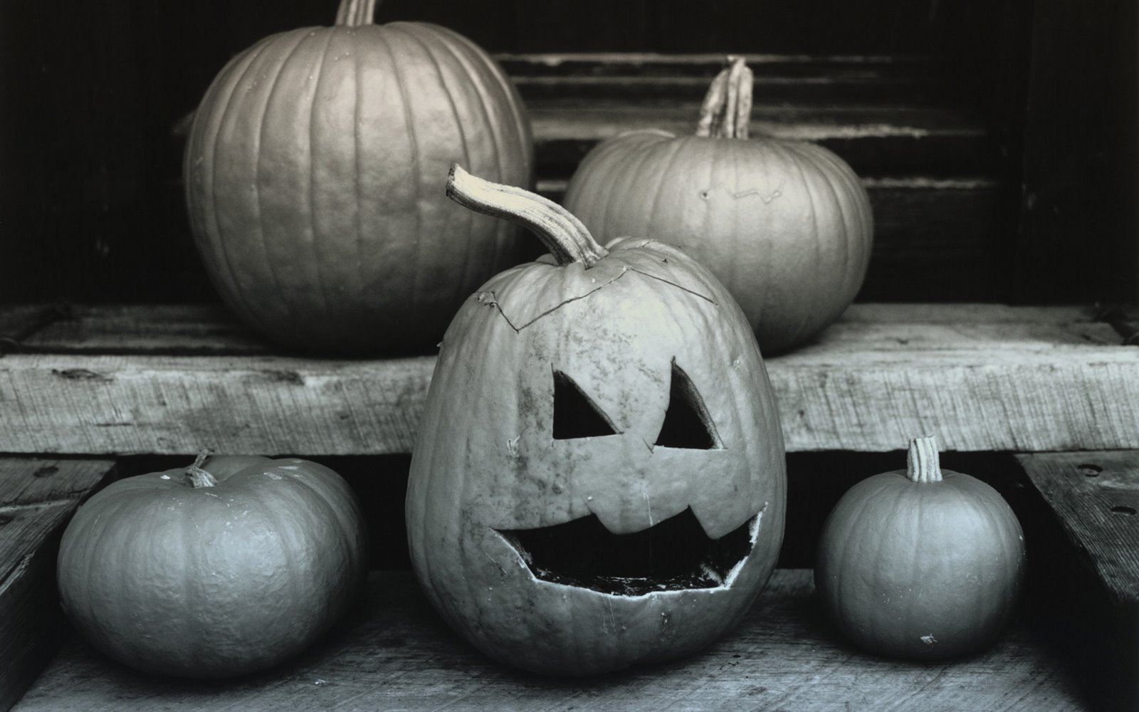 Laden Sie das Feiertage, Halloween-Bild kostenlos auf Ihren PC-Desktop herunter