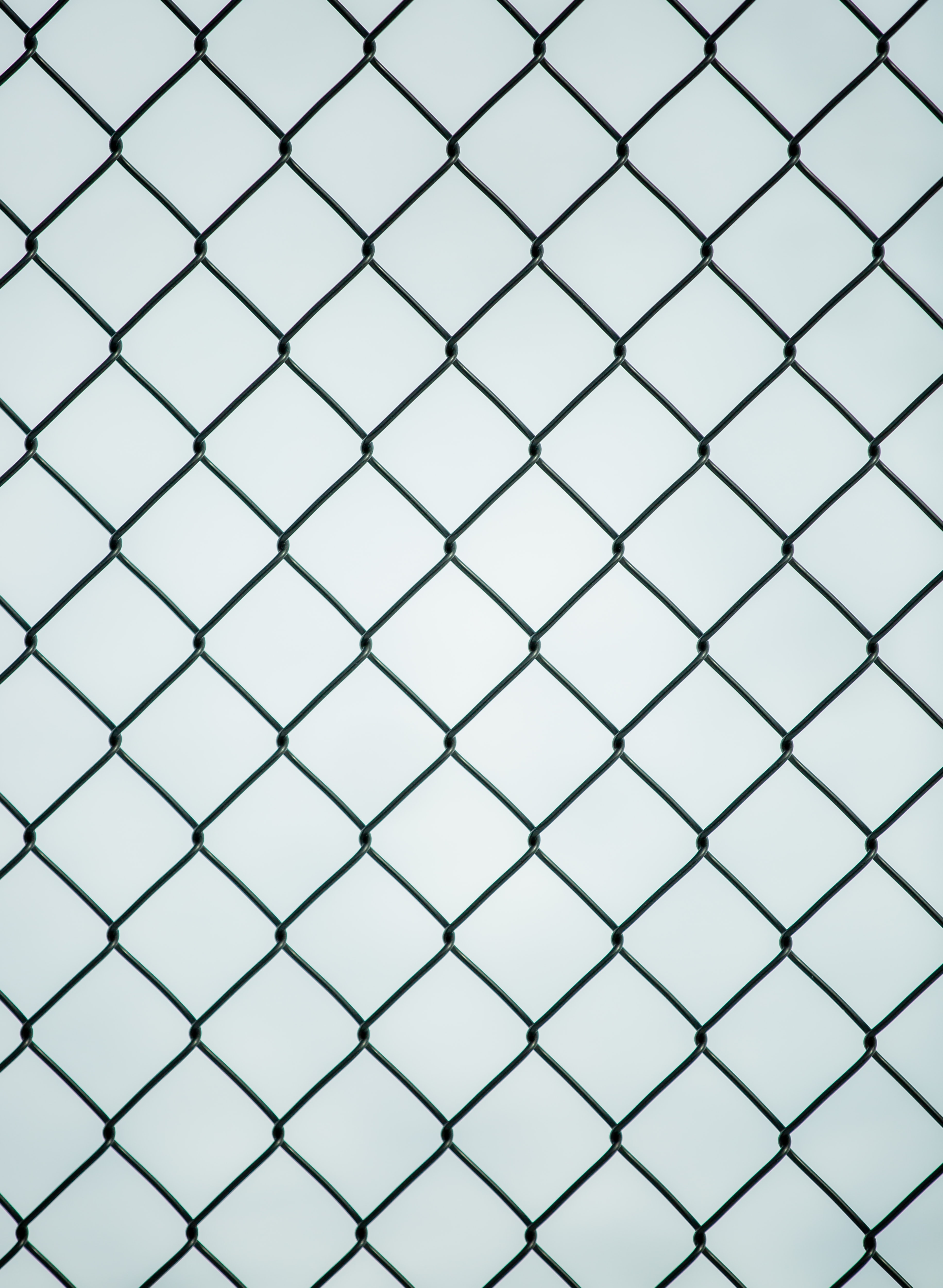 minimalism, grid, fence, lattice, trellis