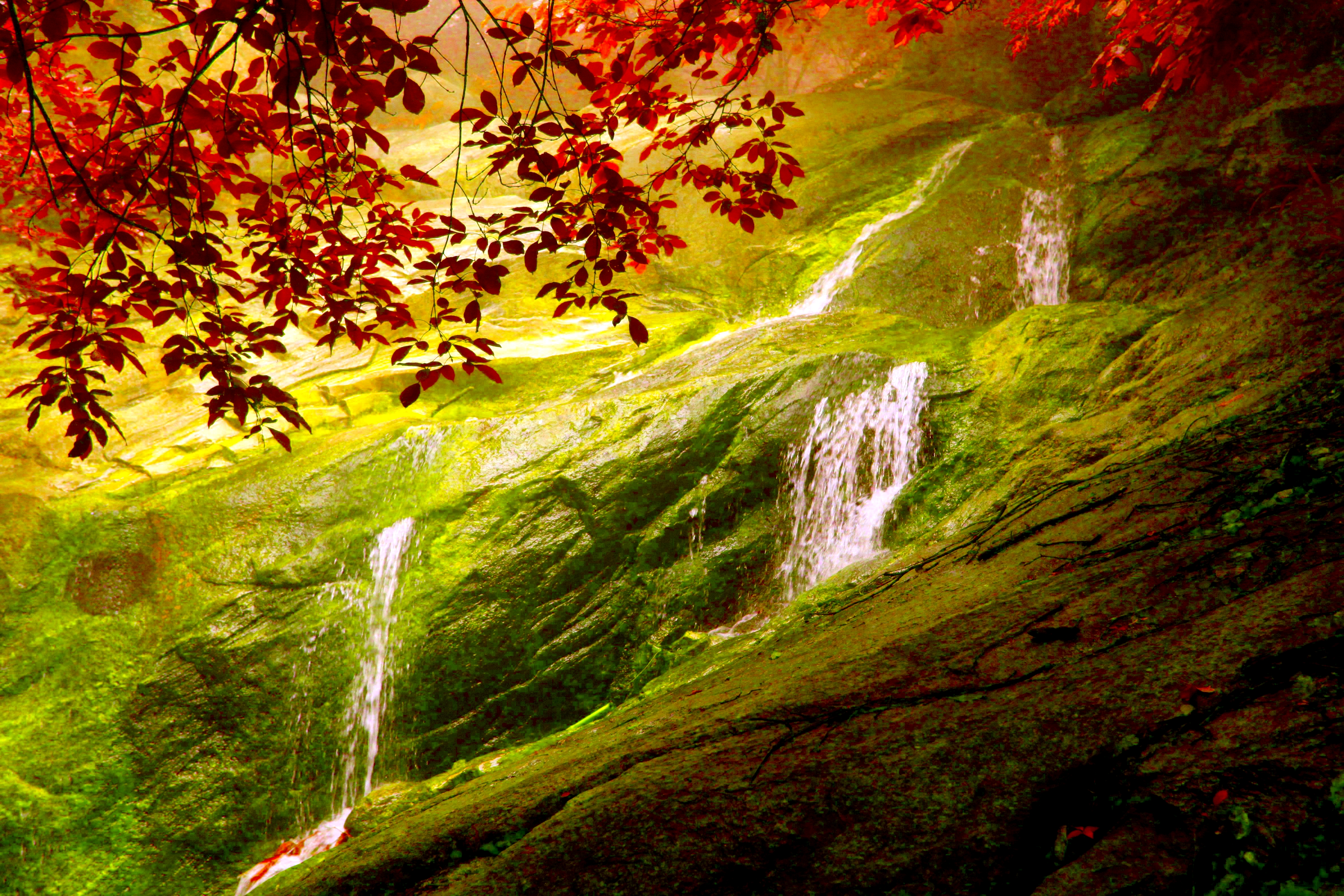 Download mobile wallpaper Waterfalls, Mountain, Waterfall, Tree, Fall, Earth for free.