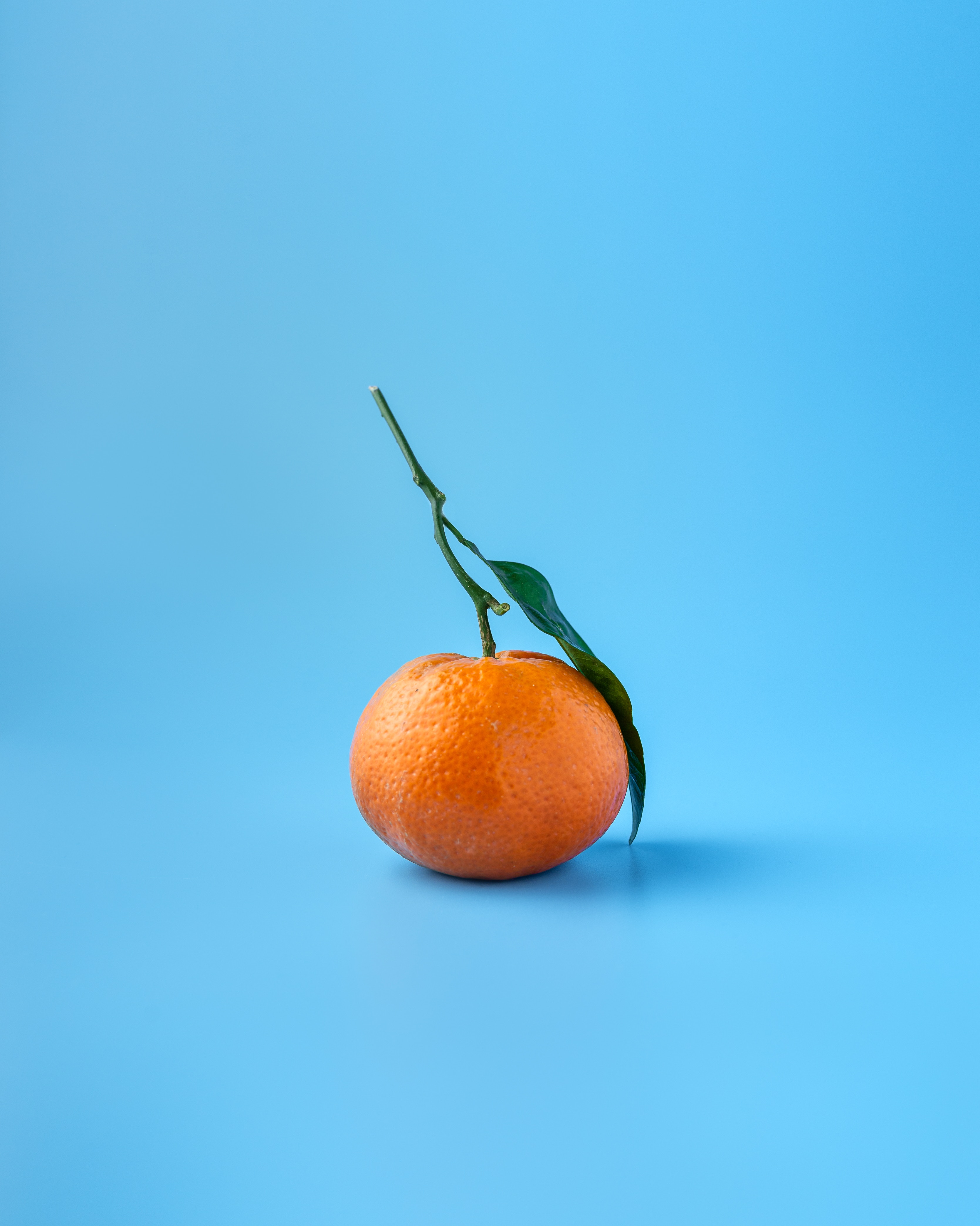 107679 télécharger l'image minimalisme, bleu, orange, le fruit, fruit, agrumes, agrume, mandarin, mandarine - fonds d'écran et économiseurs d'écran gratuits
