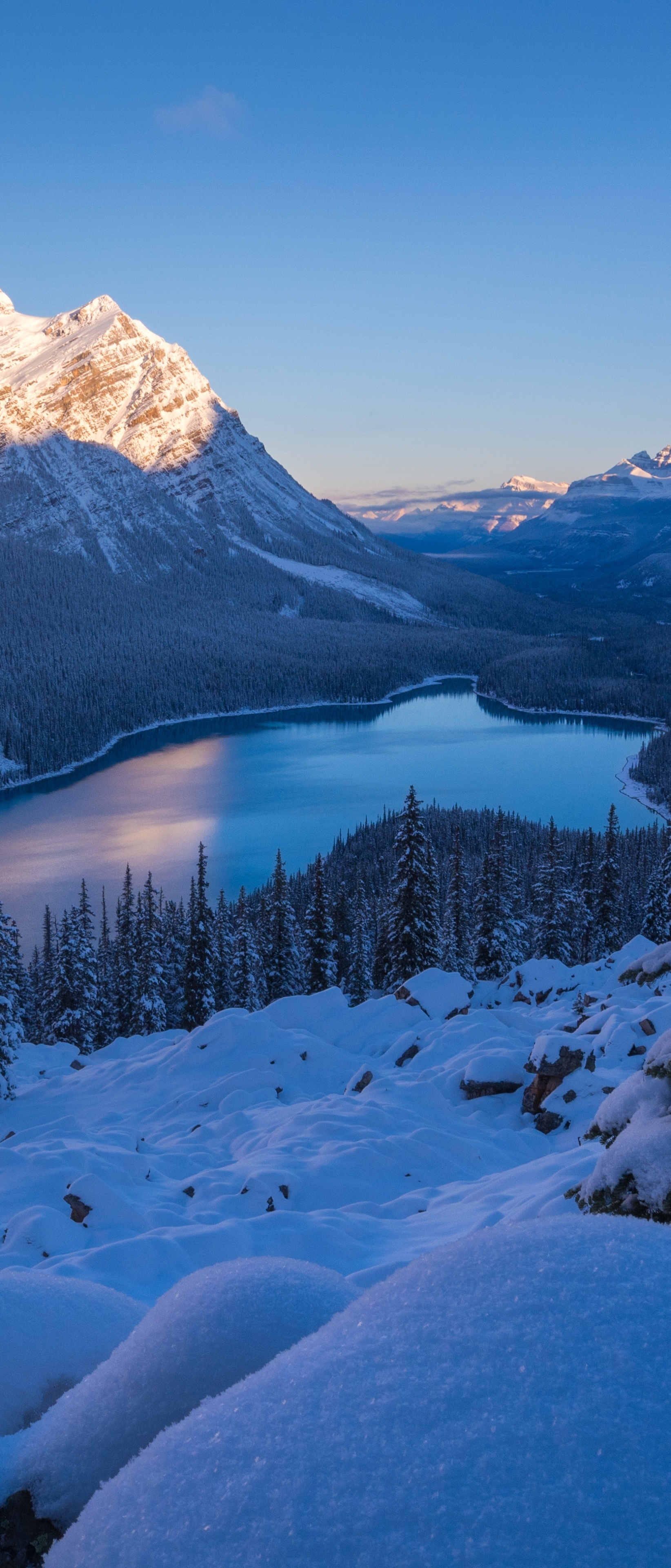 Téléchargez des papiers peints mobile Paysage, Hiver, Montagne, Lac, Canada, Parc National, Parc National Banff, L'hiver, Terre/nature, Lac Peyto gratuitement.