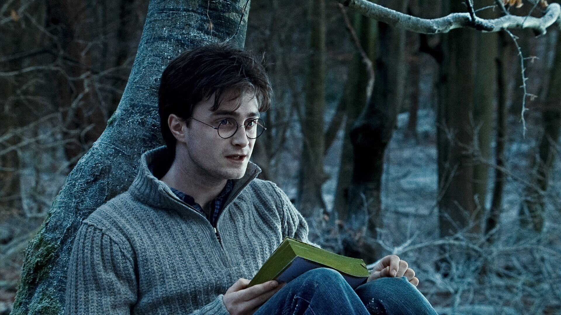 Téléchargez des papiers peints mobile Harry Potter, Film, Harry Potter Et Les Reliques De La Mort 1Ère Partie gratuitement.