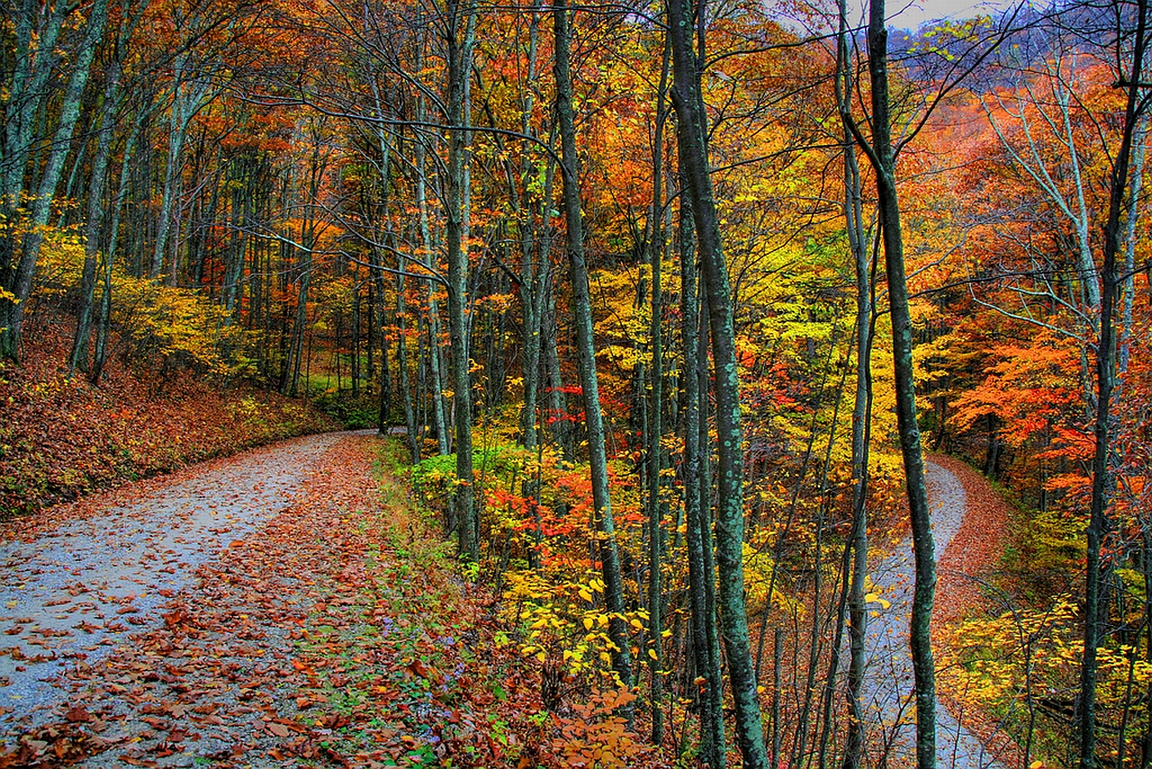 Descarga gratuita de fondo de pantalla para móvil de Carretera, Hecho Por El Hombre.