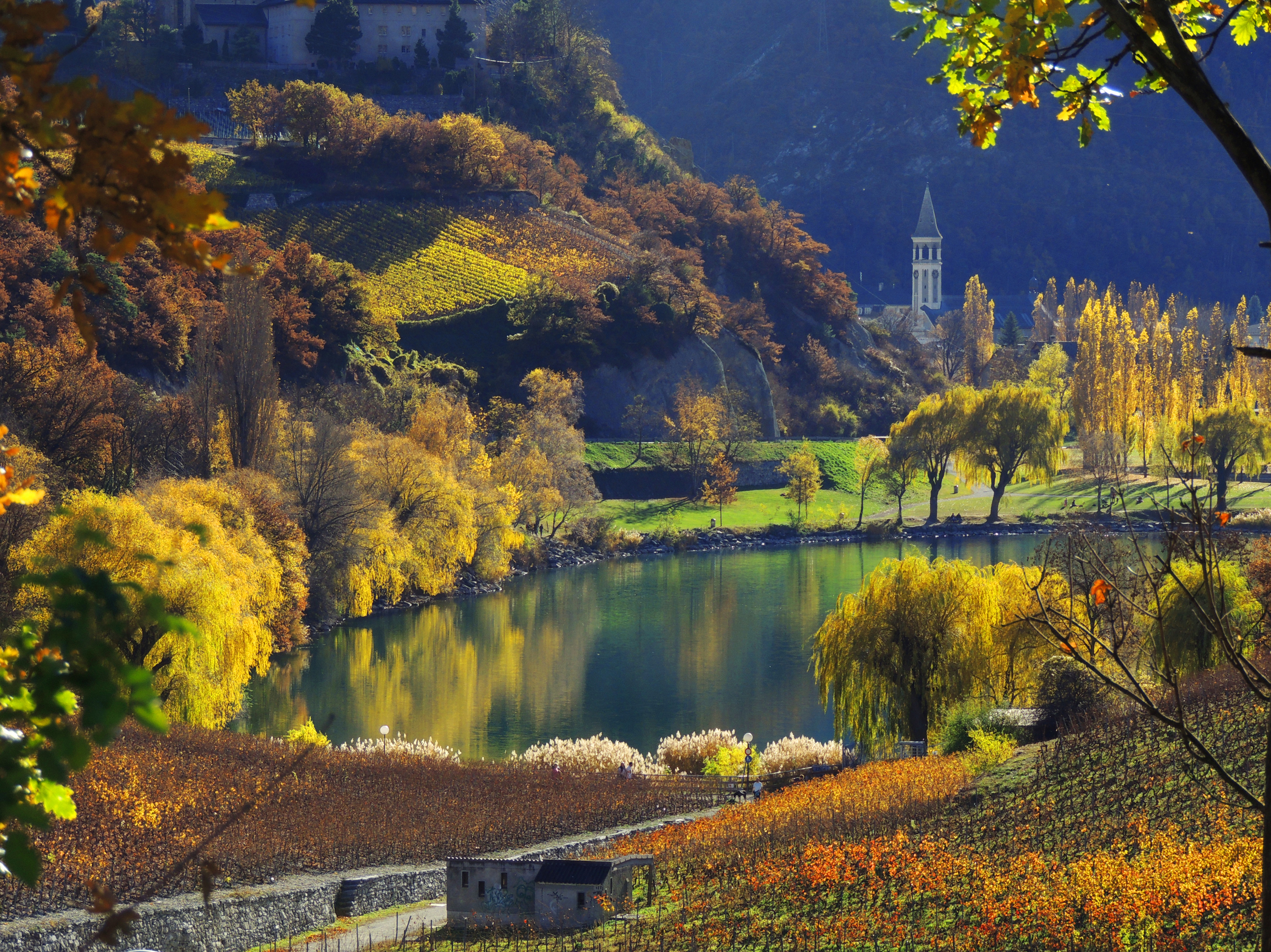 Laden Sie das Landschaft, Seen, See, Baum, Schweiz, Fotografie-Bild kostenlos auf Ihren PC-Desktop herunter