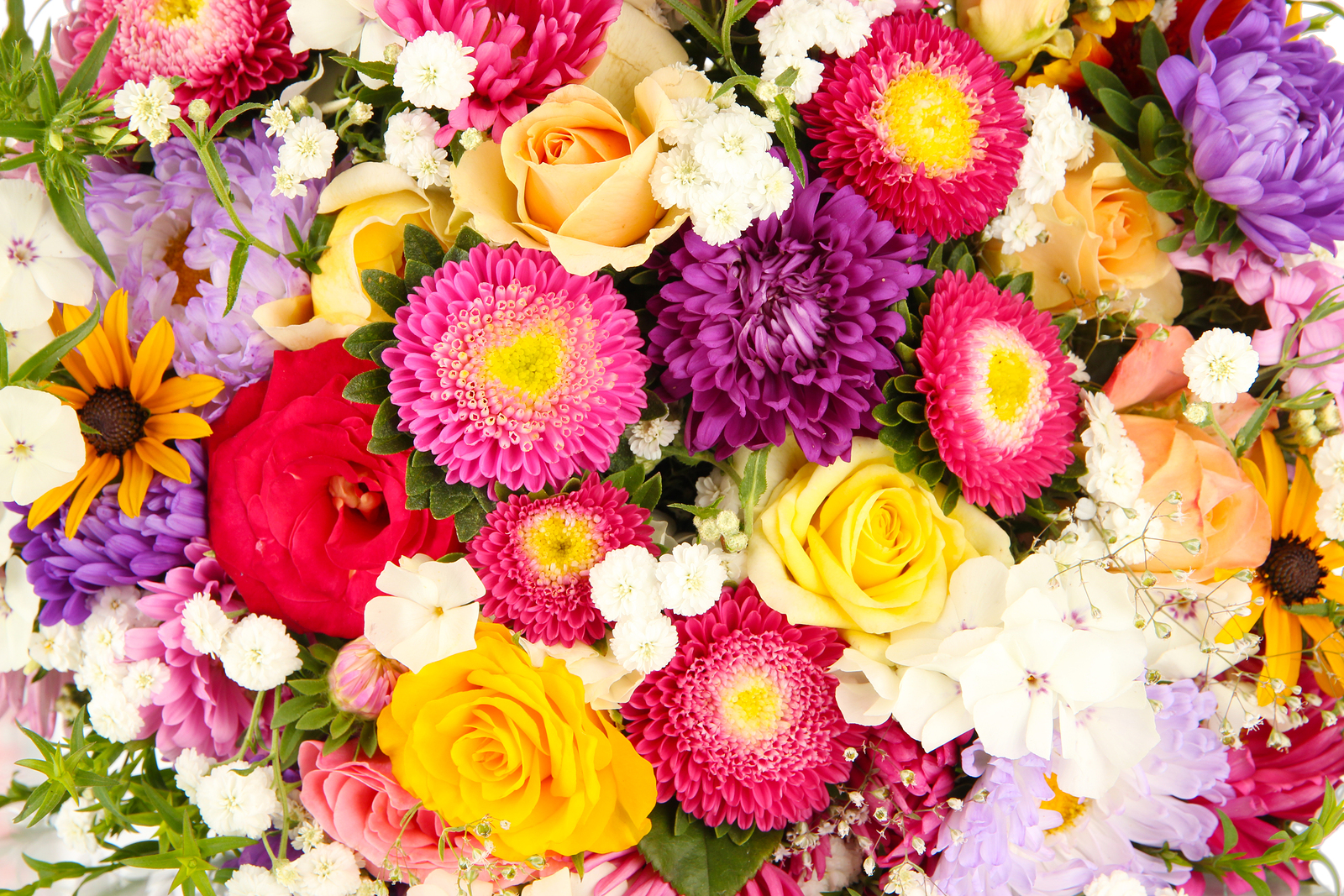 Download mobile wallpaper Flowers, Flower, Earth, Colors, Colorful for free.