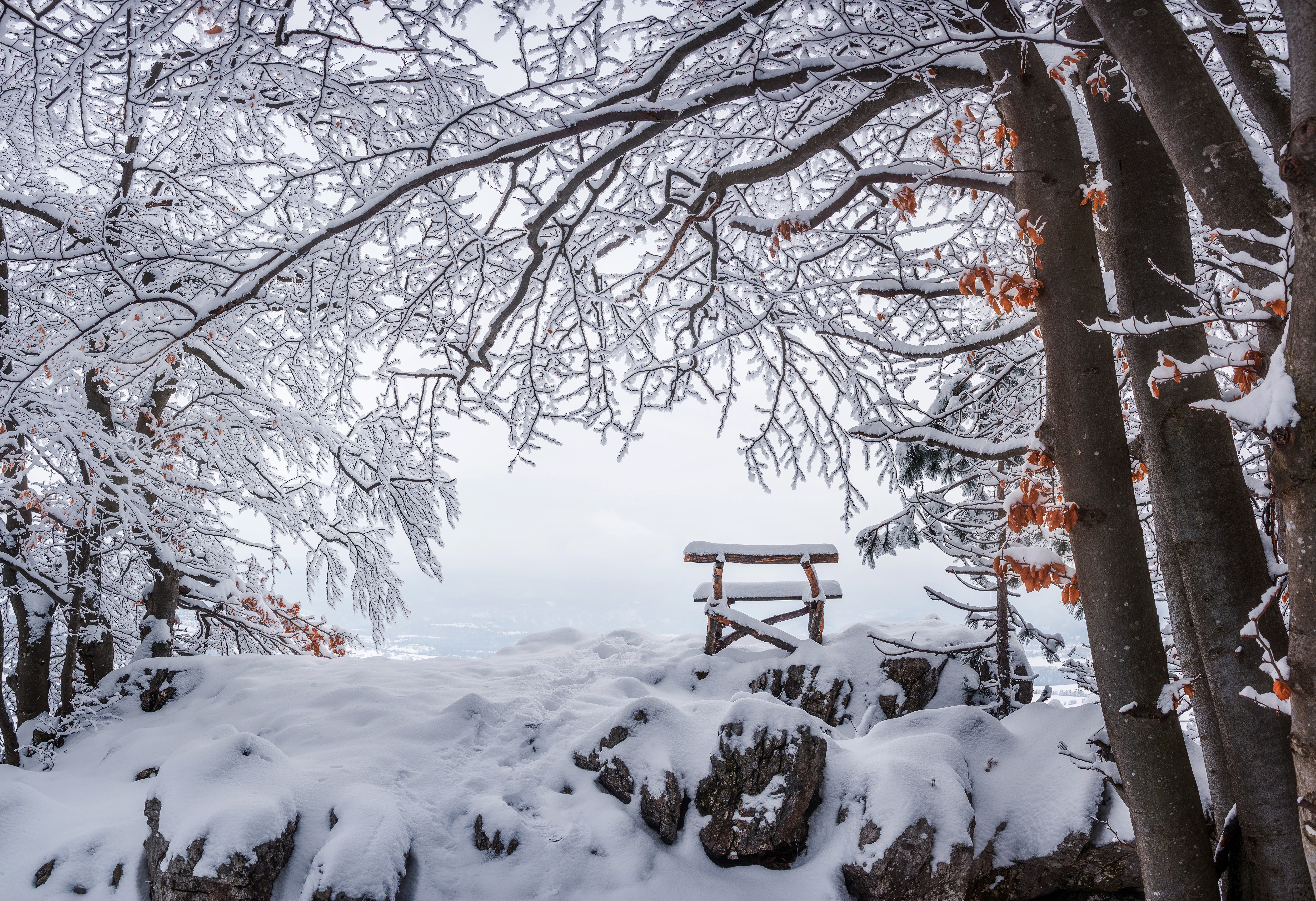 Free download wallpaper Winter, Snow, Earth, Bench on your PC desktop