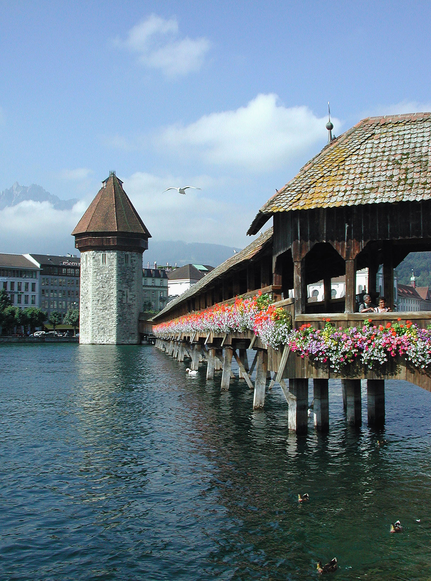 Handy-Wallpaper Wasser, Bridges, Landschaft, Architektur, Italien, Venedig kostenlos herunterladen.