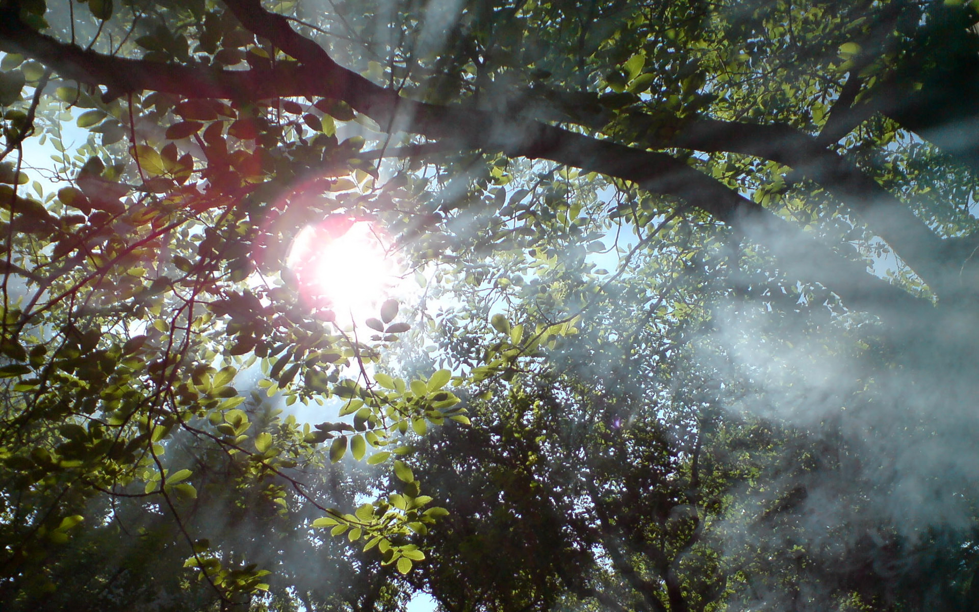 Téléchargez gratuitement l'image Rayon De Soleil, Terre/nature sur le bureau de votre PC