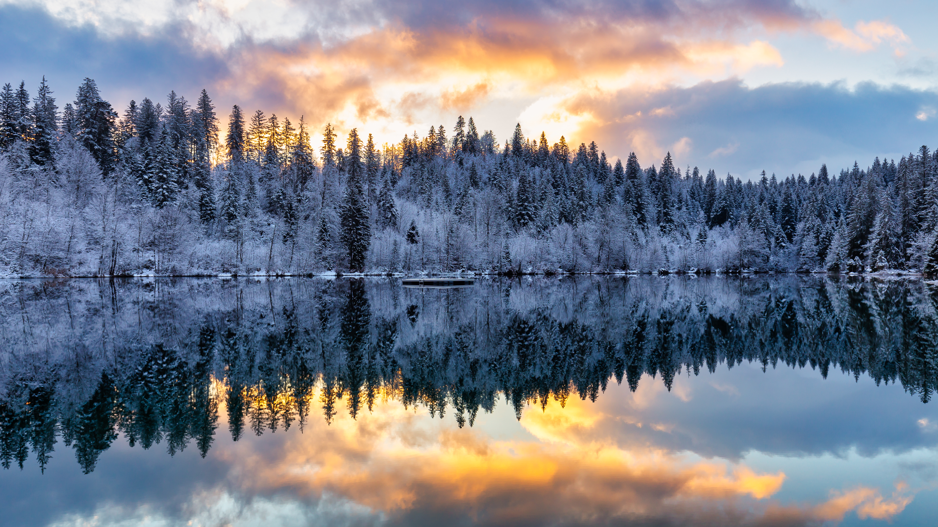 PCデスクトップに冬, 自然, 木, 雪, 湖, 反射, 森林, 森画像を無料でダウンロード