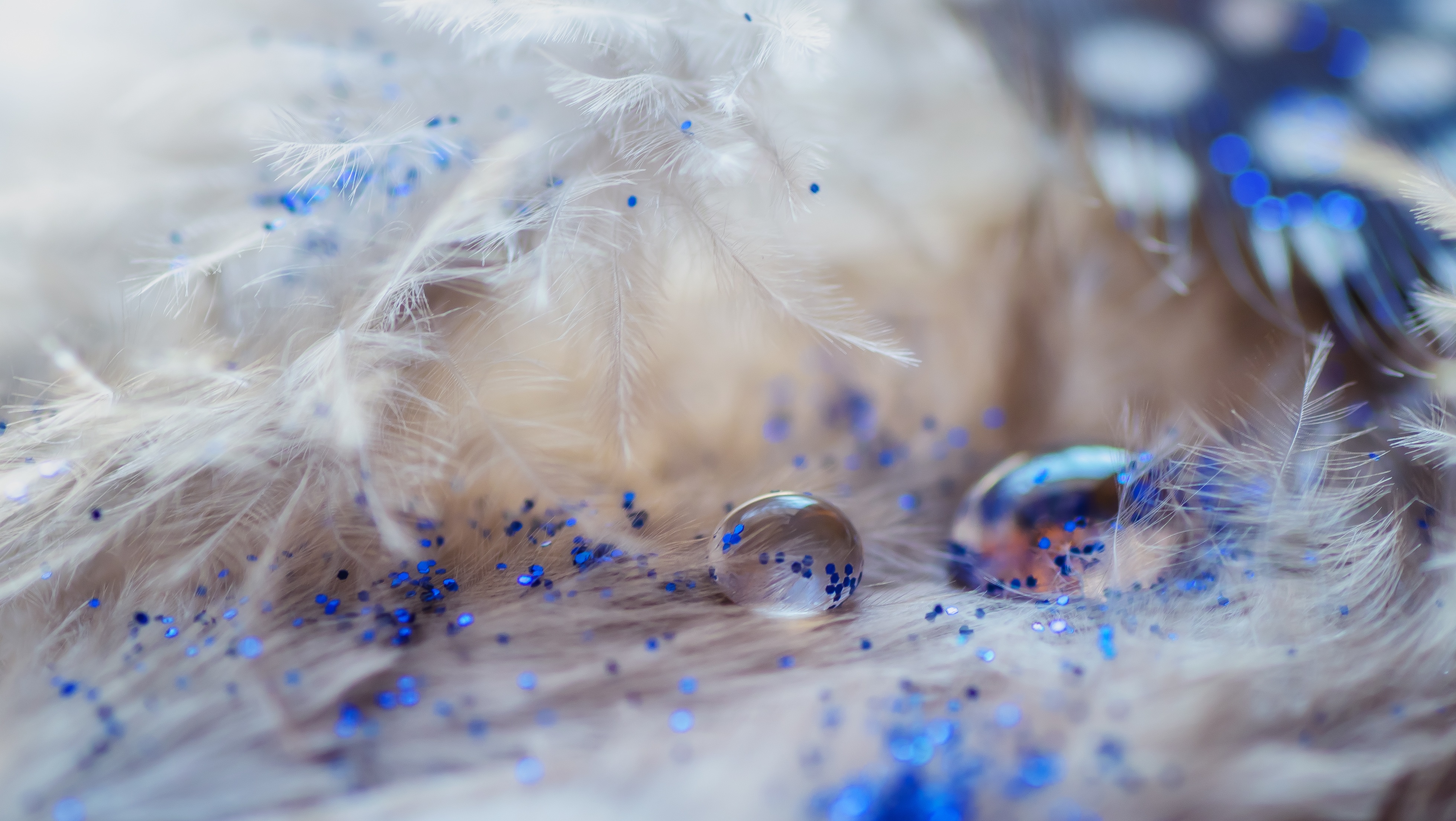 macro, drops, decoration, feather, tinsel, sequins Full HD