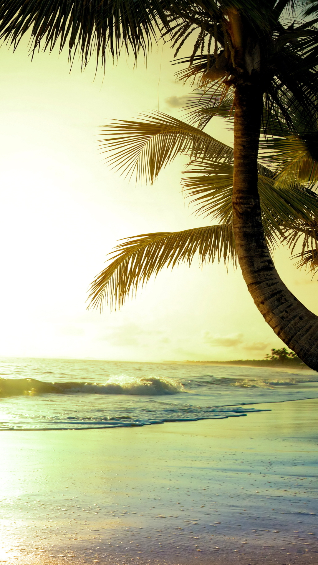 Handy-Wallpaper Ozean, Palme, Tropisch, Himmel, Sonnenuntergang, Erde/natur kostenlos herunterladen.