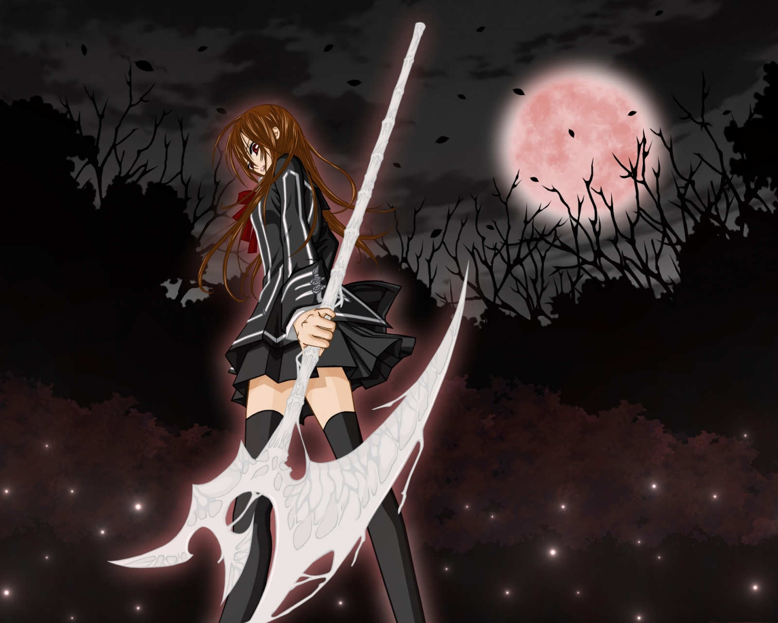 Laden Sie das Nacht, Animes, Yuki Kreuz, Vampire Knight-Bild kostenlos auf Ihren PC-Desktop herunter