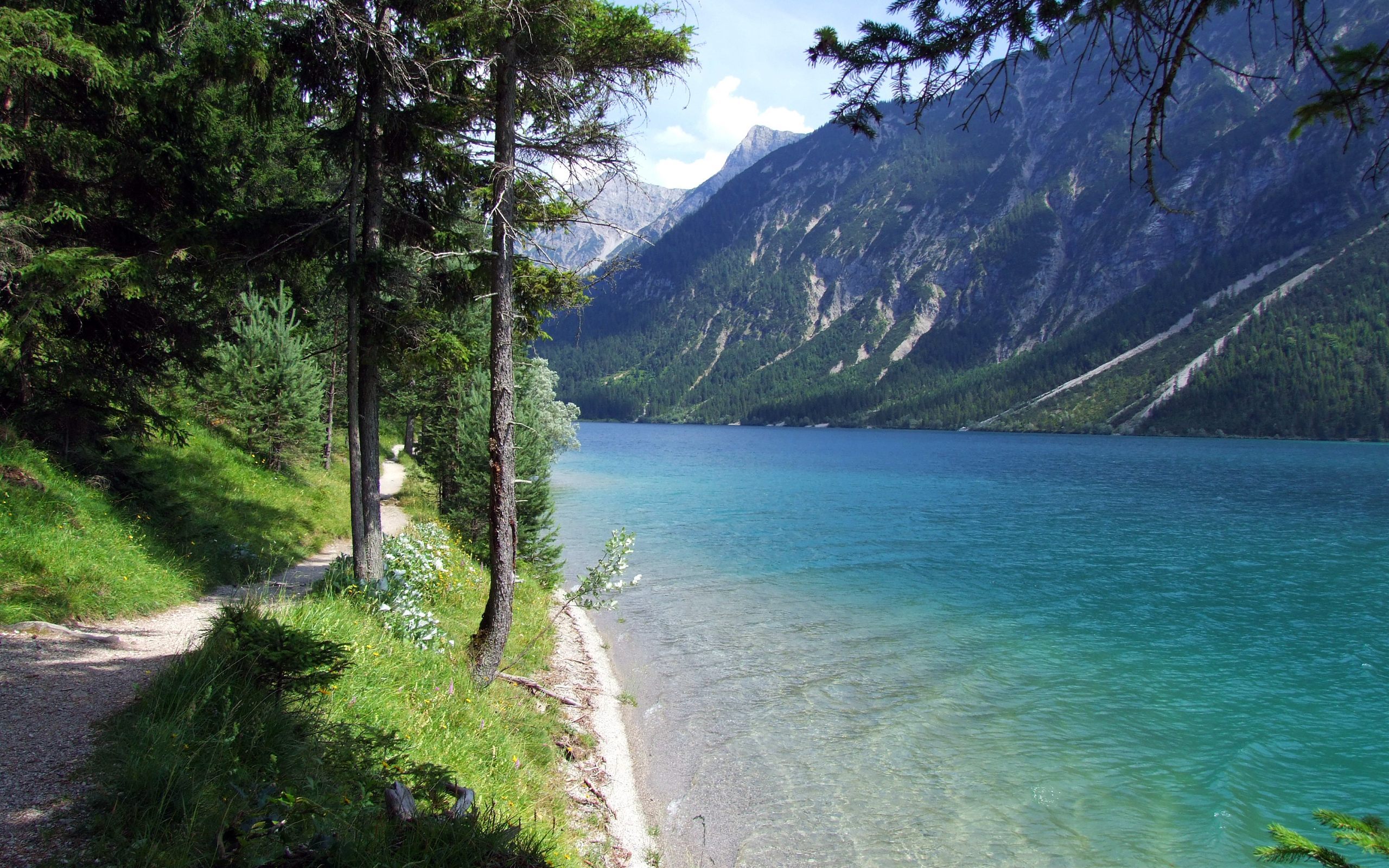 無料モバイル壁紙木, 山脈, 湖, 風景をダウンロードします。