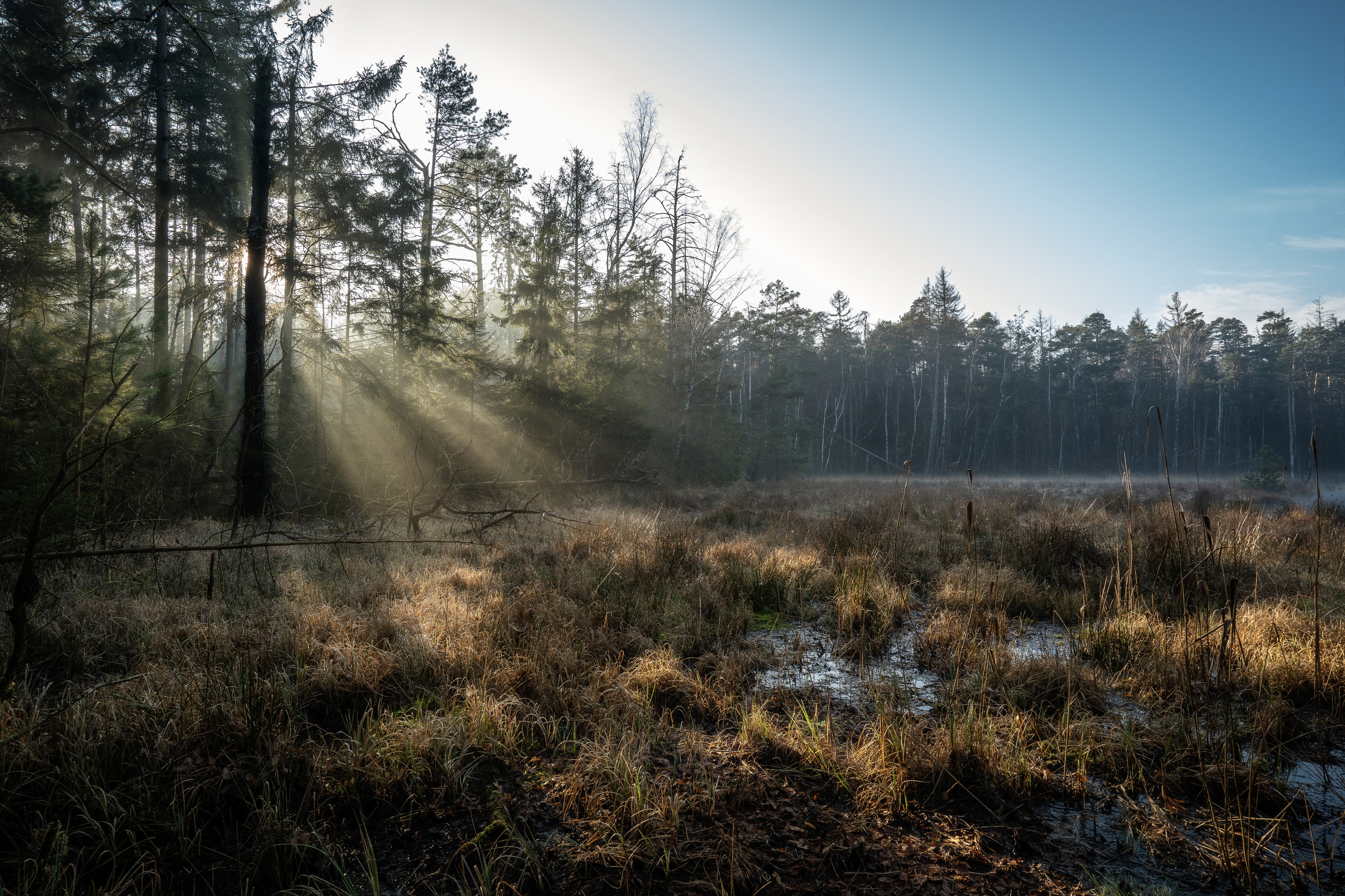 Laden Sie das Sonnenstrahl, Erde/natur-Bild kostenlos auf Ihren PC-Desktop herunter