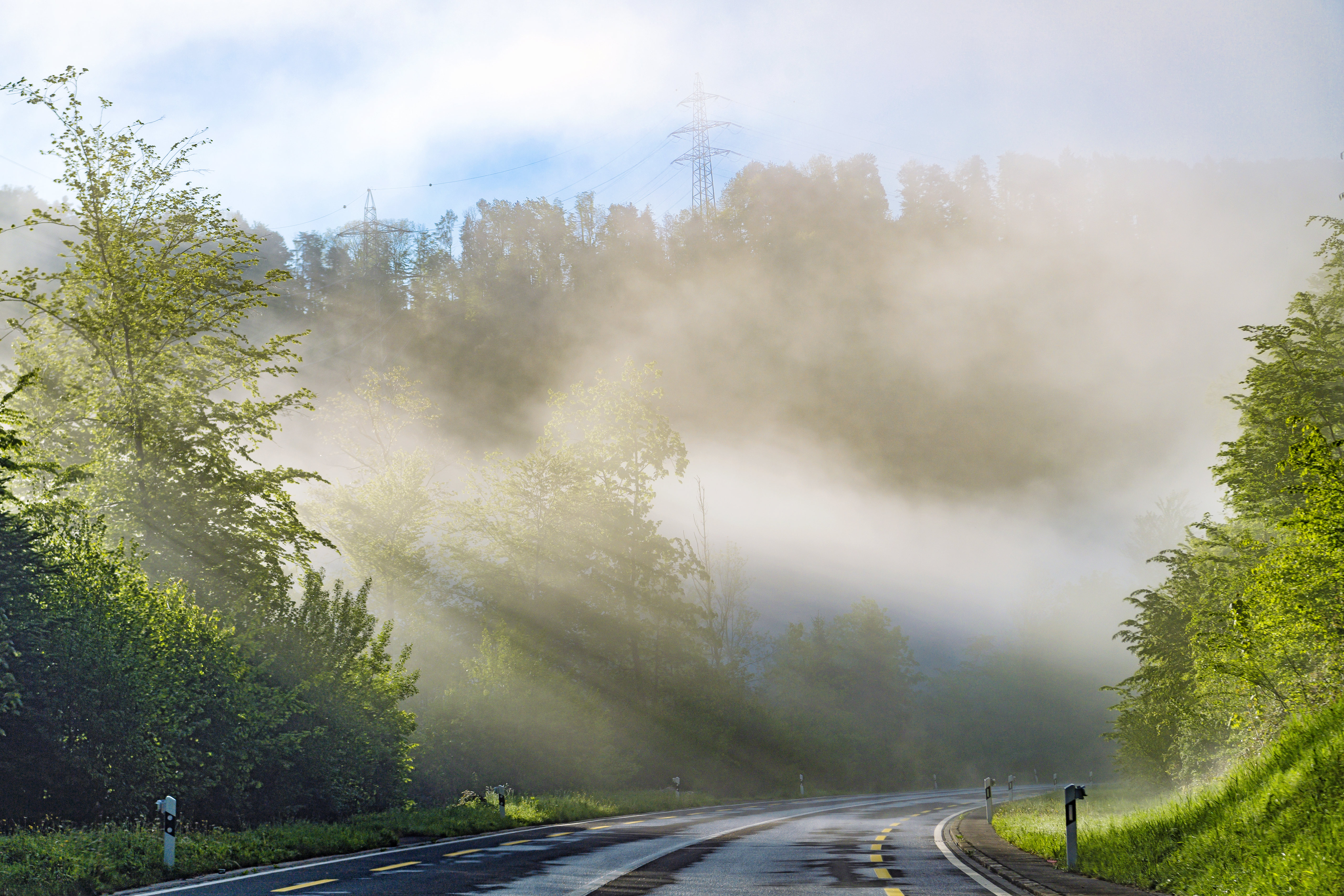 Download mobile wallpaper Beams, Rays, Road, Markup, Trees, Nature for free.