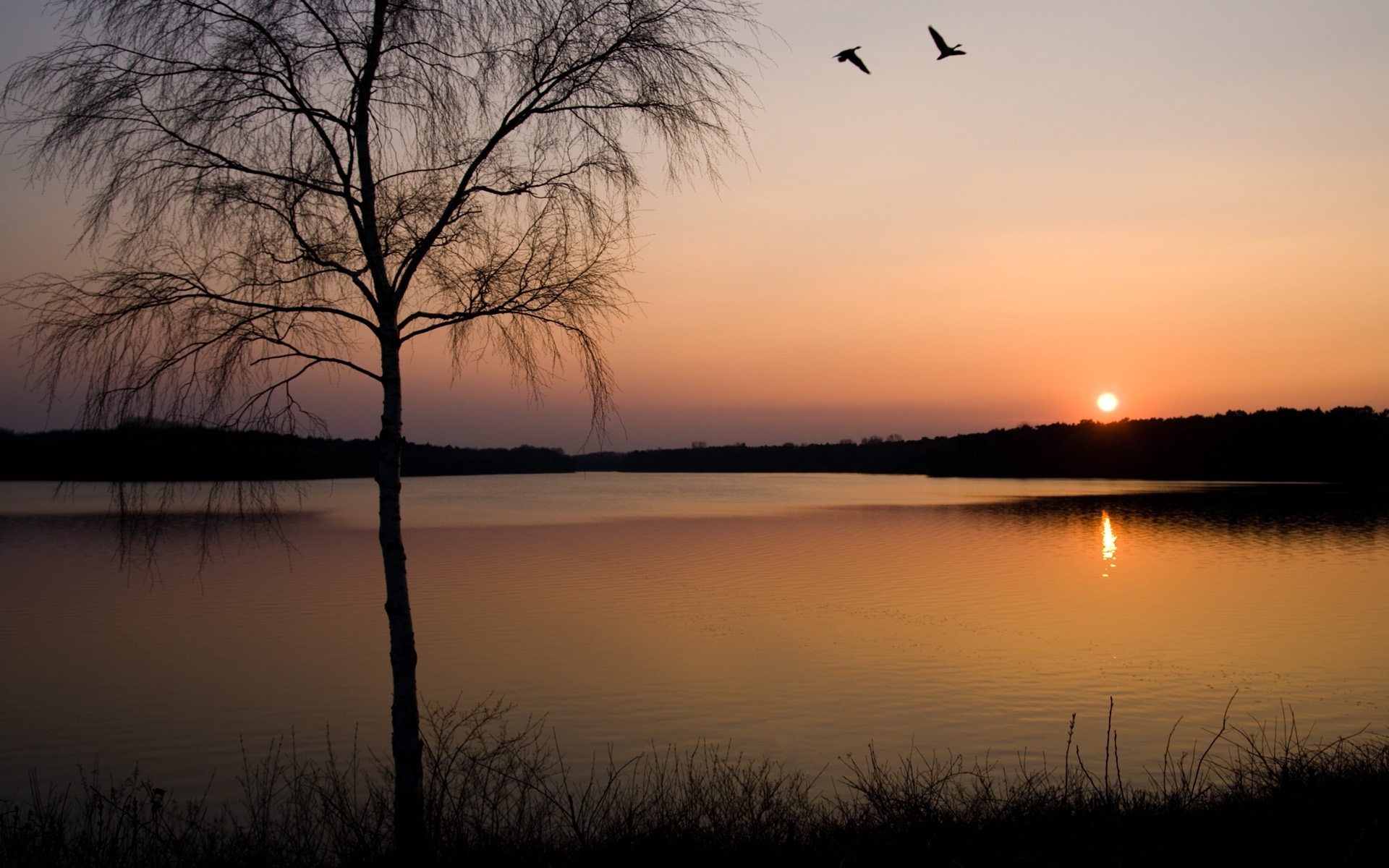 Free download wallpaper Landscape, Sunset, Sun, Lakes, Trees on your PC desktop