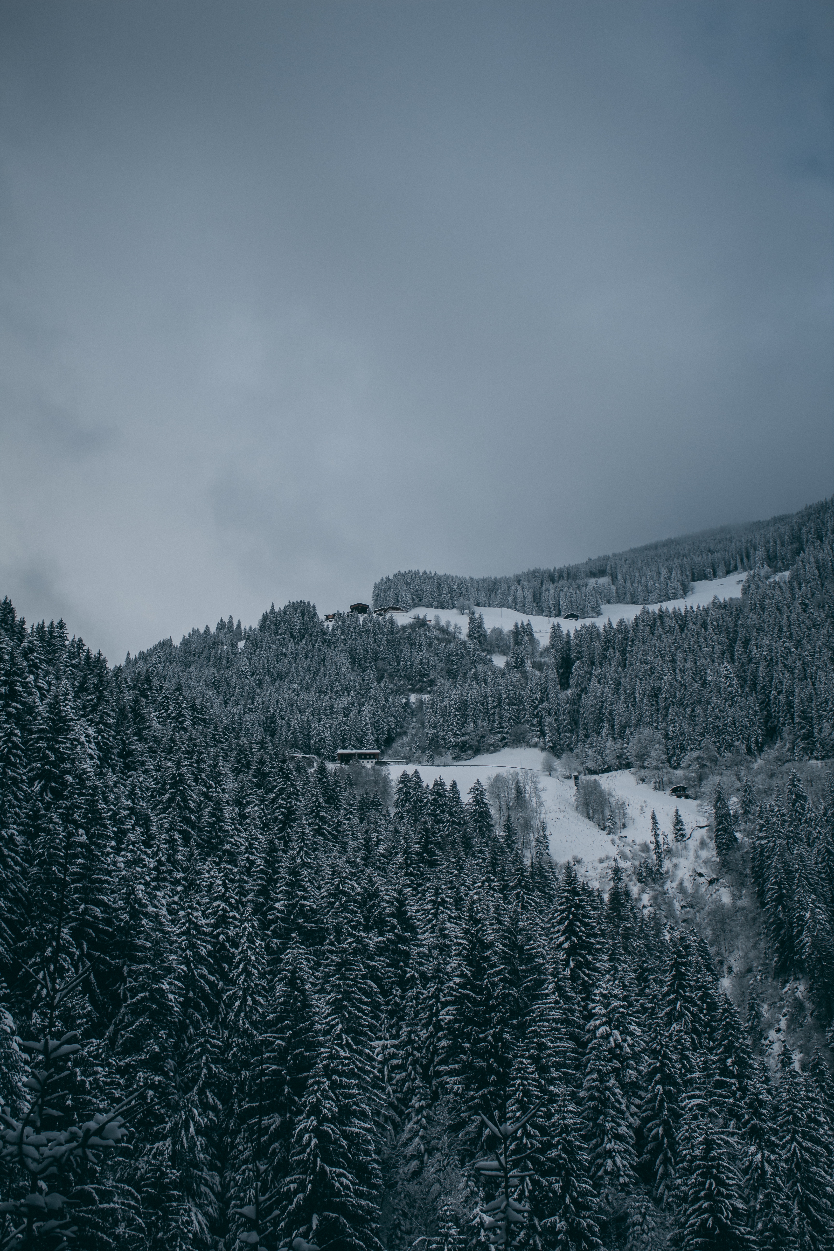 155720 baixar imagens inverno, natureza, árvores, neve, vista de cima, ver de cima, floresta, coberto de neve, snowbound - papéis de parede e protetores de tela gratuitamente