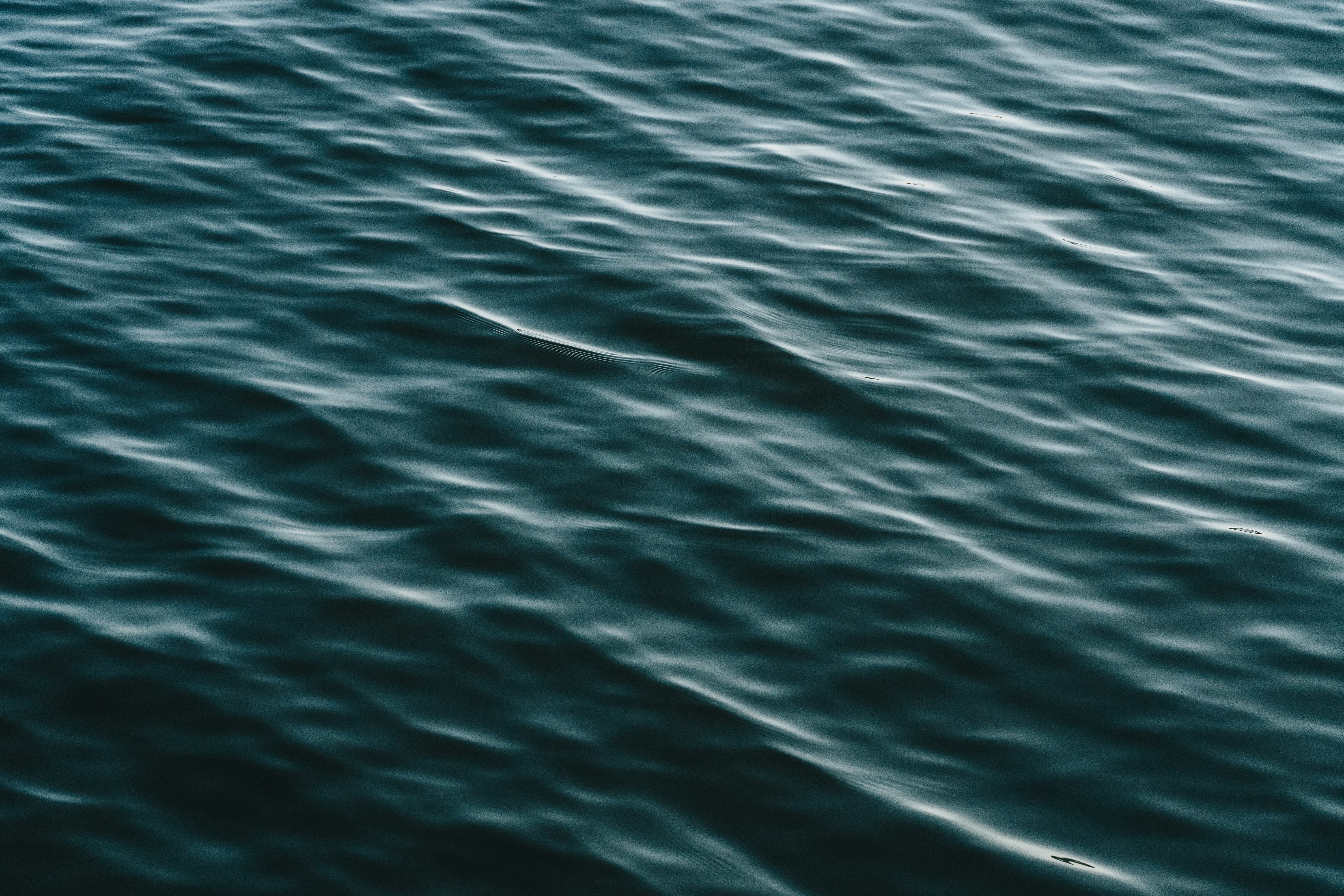water, waves, dark, ripples, ripple, water surface