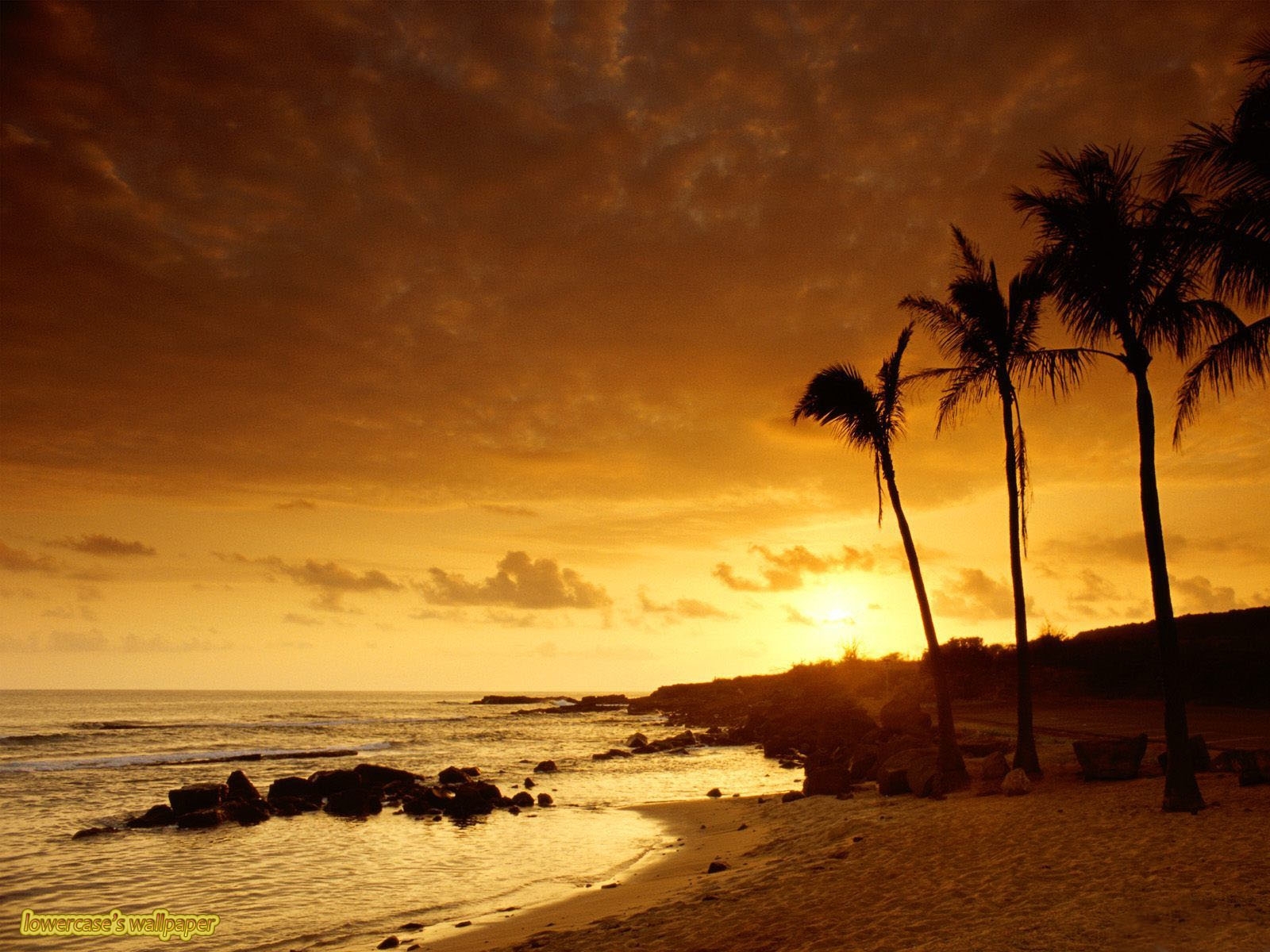 PCデスクトップに風景, 日没, 海, オレンジ, パームス画像を無料でダウンロード