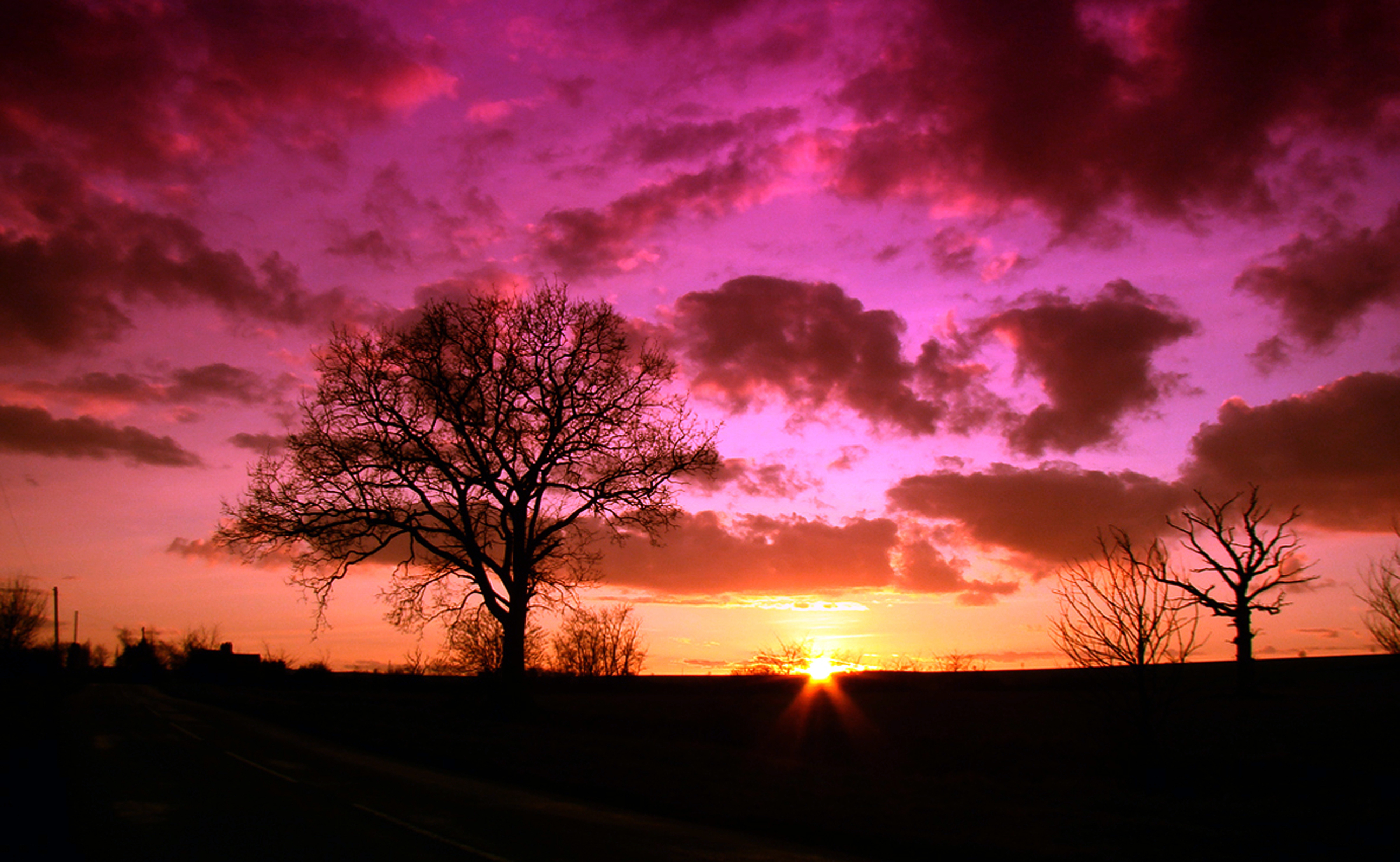 Download mobile wallpaper Sunset, Sky, Silhouette, Tree, Earth, Photography for free.