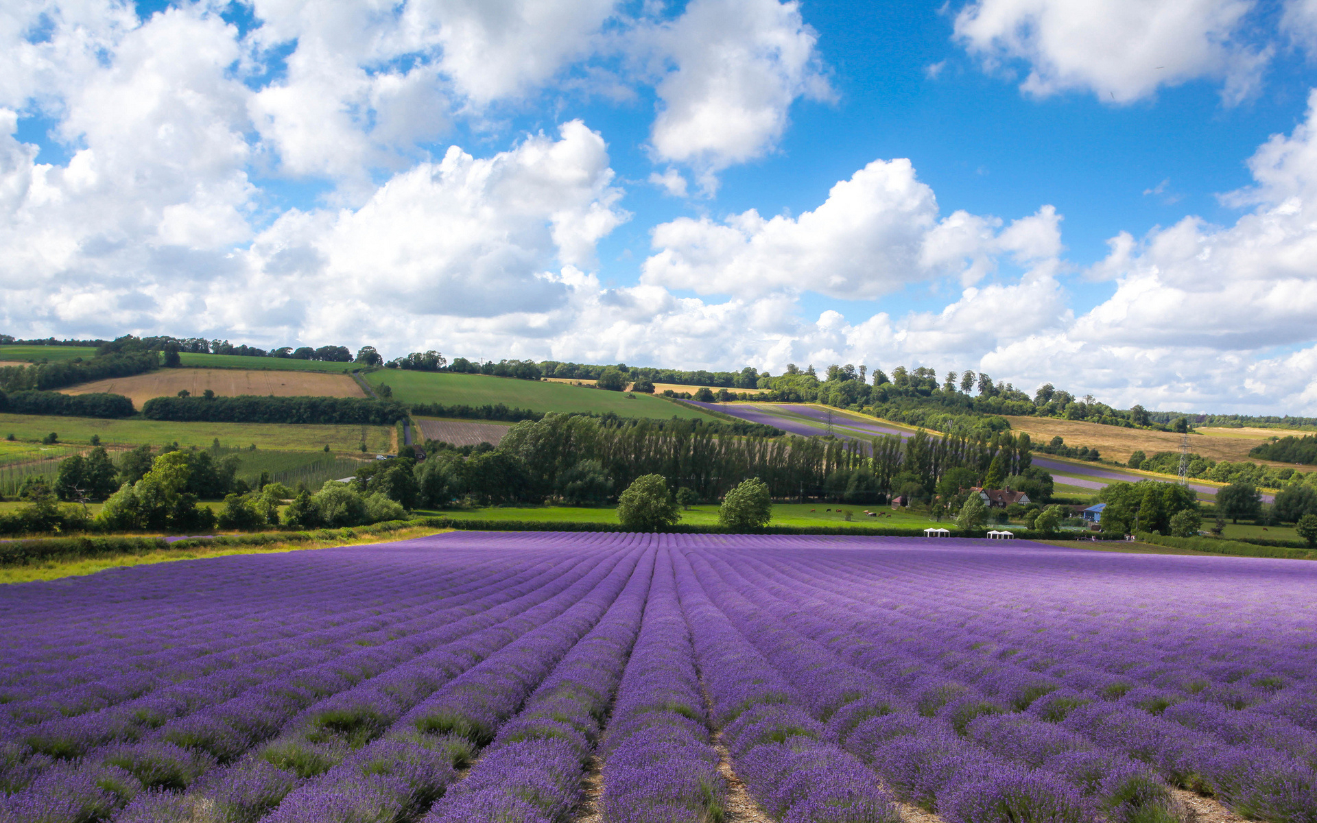 Handy-Wallpaper Landschaft, Erde/natur kostenlos herunterladen.