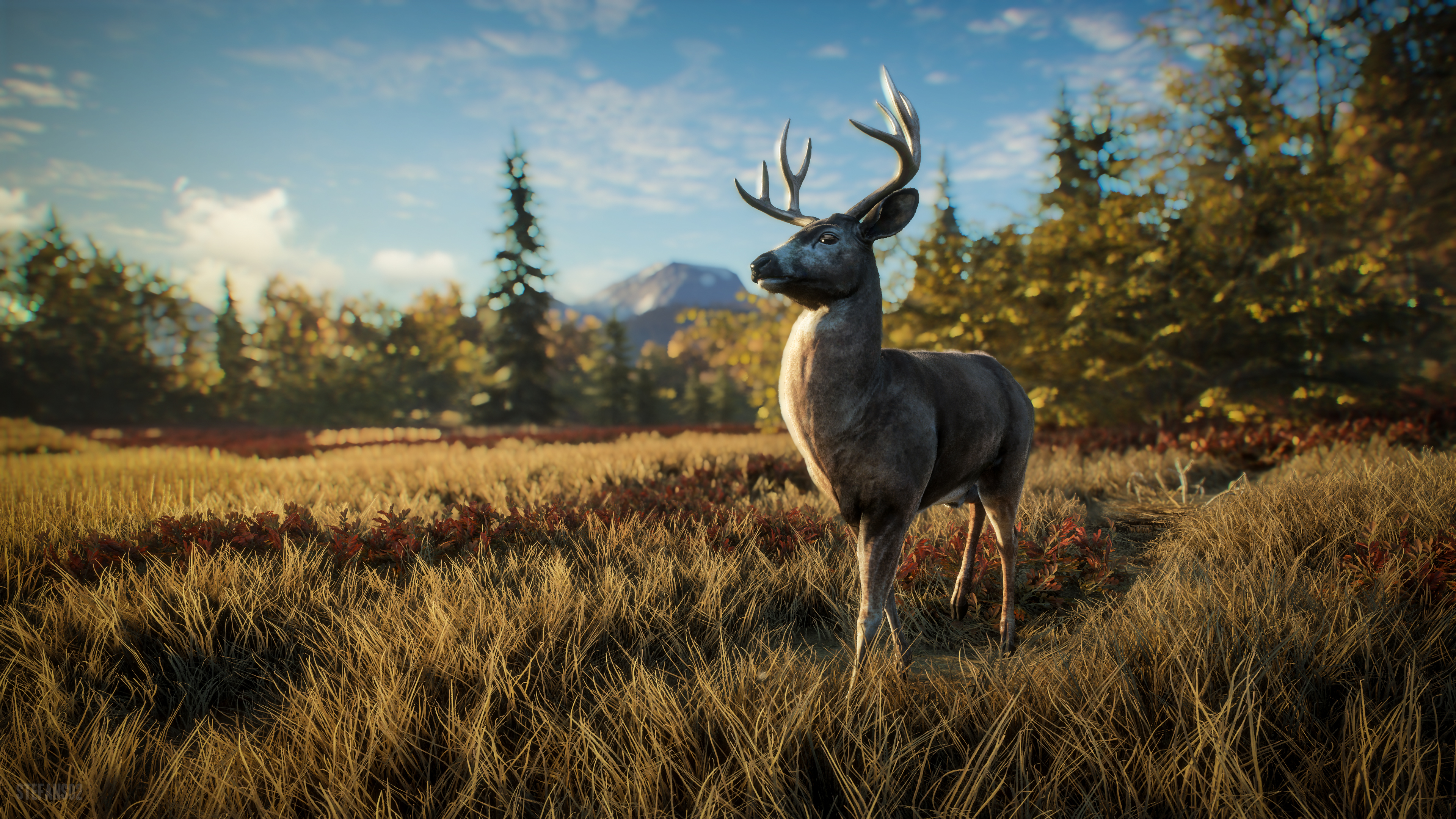 video game, thehunter: call of the wild, nature, thehunter (video game)