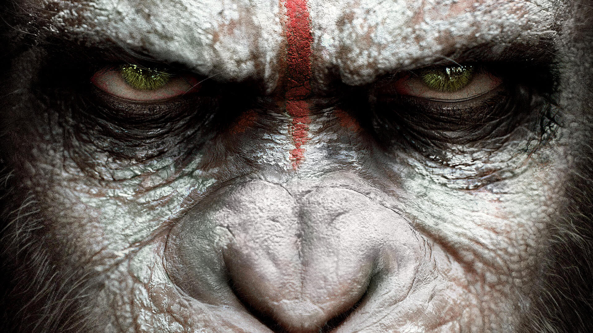749017 télécharger le fond d'écran film, la planète des singes : l'affrontement - économiseurs d'écran et images gratuitement