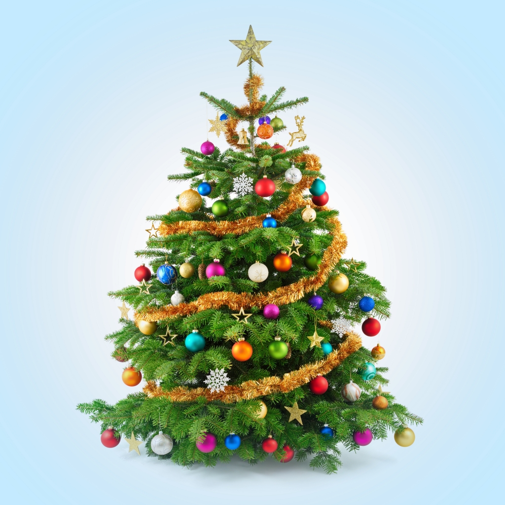 無料モバイル壁紙クリスマス, クリスマスツリー, クリスマスオーナメント, ホリデーをダウンロードします。