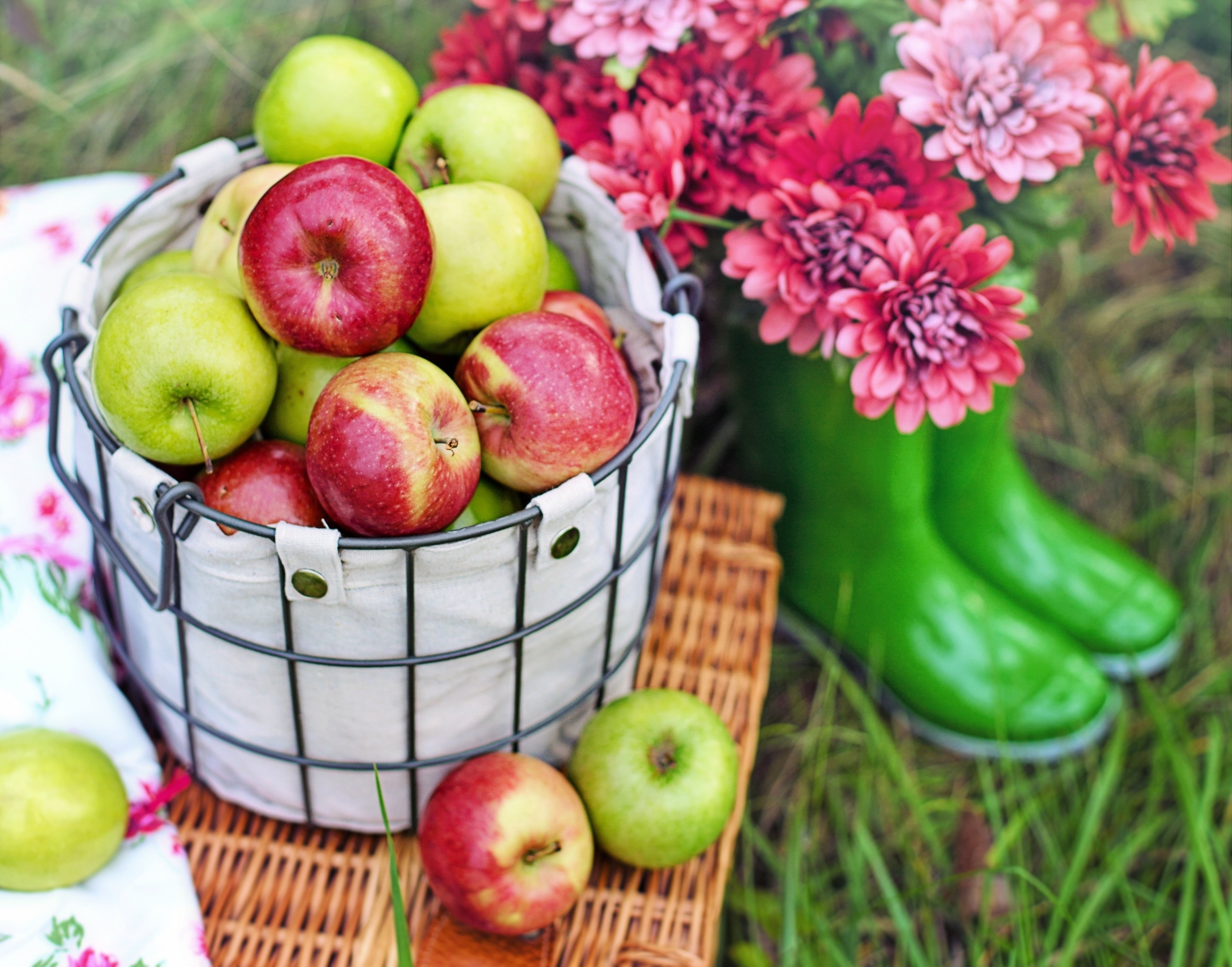 Téléchargez des papiers peints mobile Nourriture, Pomme, Fruit, Des Fruits gratuitement.