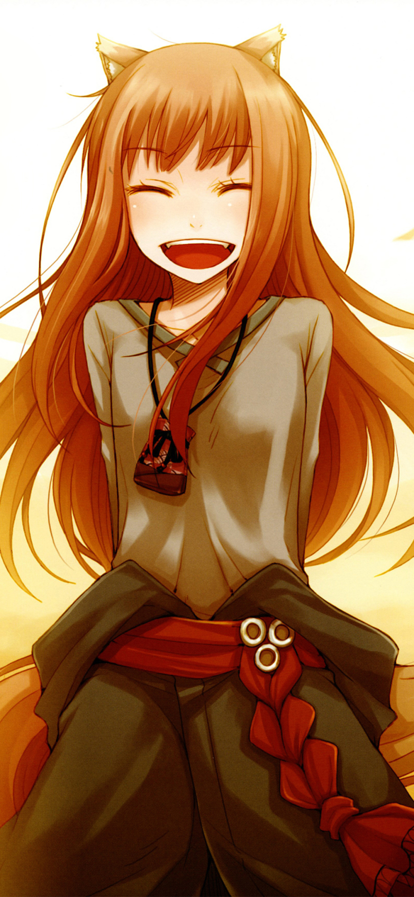 Download mobile wallpaper Anime, Long Hair, Brown Hair, Holo (Spice & Wolf), Animal Ears, Spice And Wolf for free.