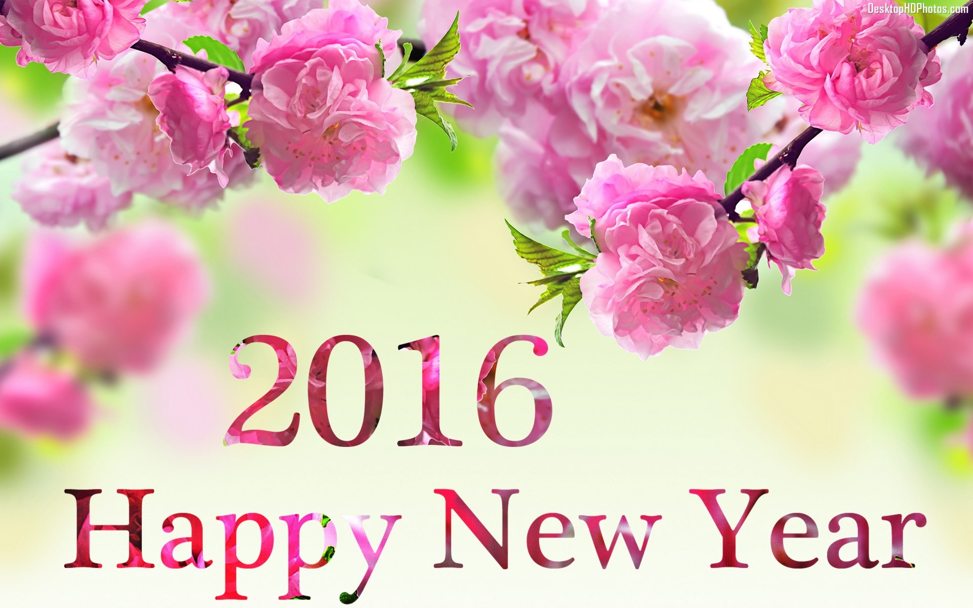 730211 Hintergrundbild herunterladen feiertage, neujahr 2016, neujahr - Bildschirmschoner und Bilder kostenlos