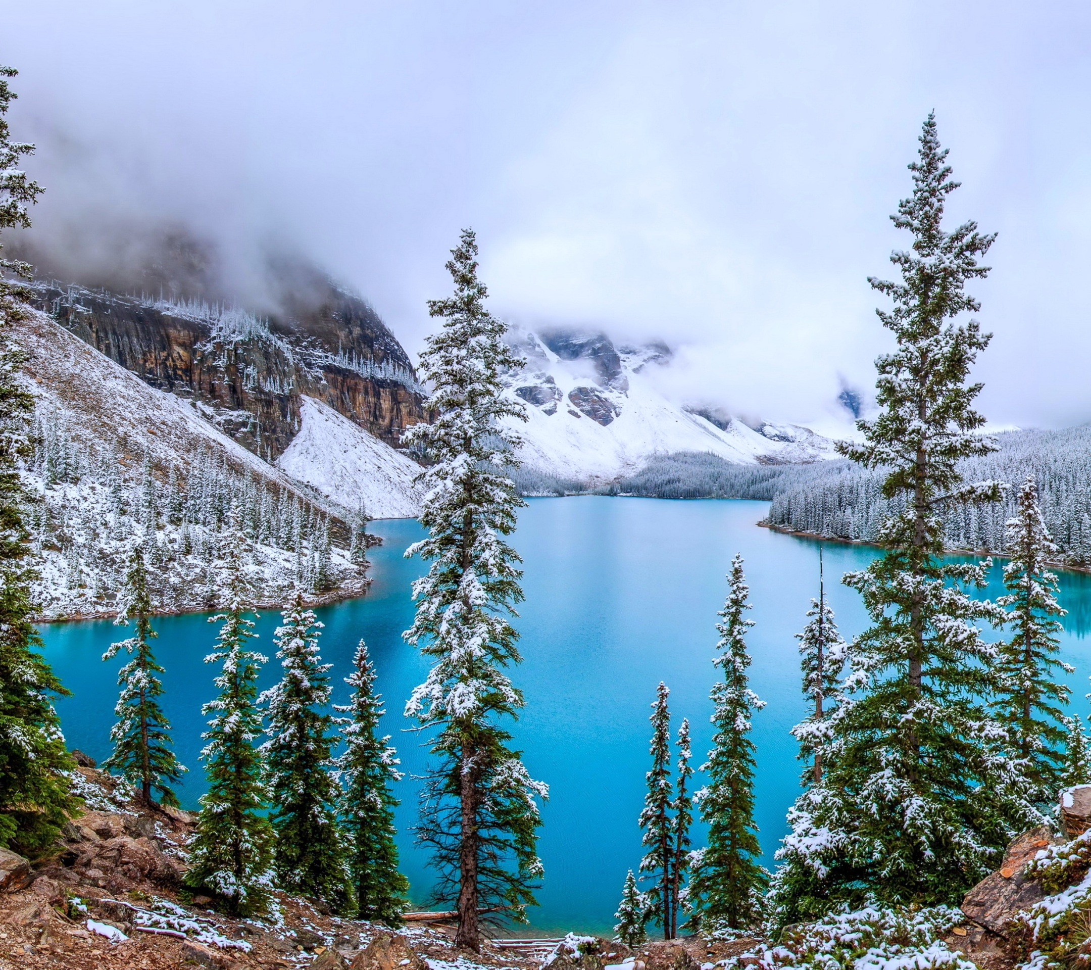 PCデスクトップに冬, 木, 雪, 湖, 山, 森, 霧, 地球画像を無料でダウンロード
