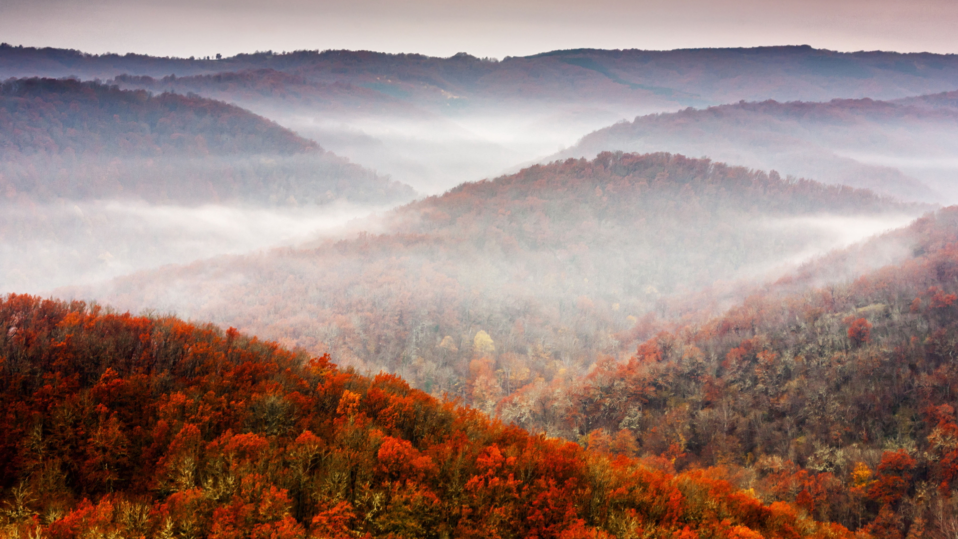 Handy-Wallpaper Herbst, Erde/natur kostenlos herunterladen.