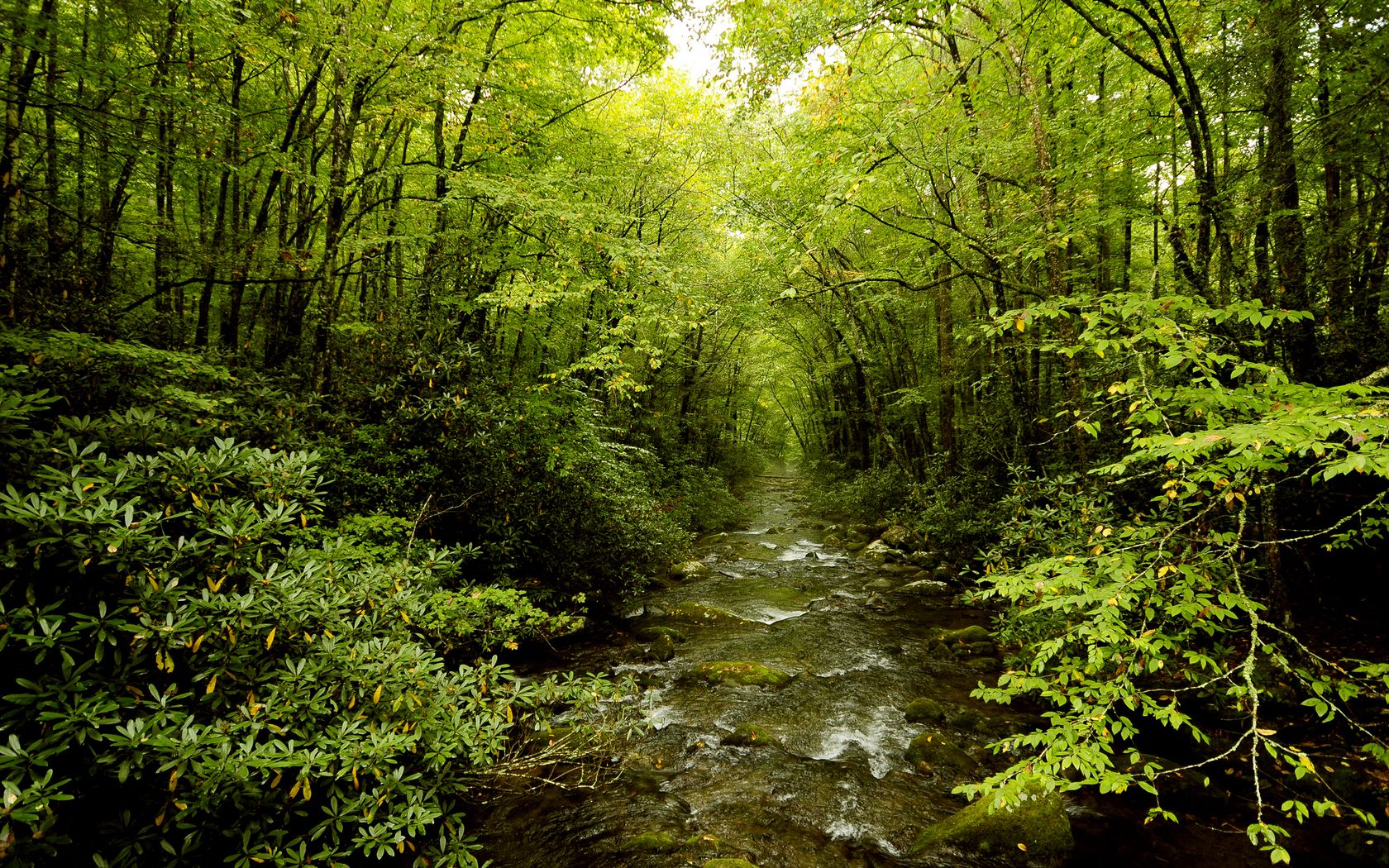 Descarga gratis la imagen Chorro, Tierra/naturaleza en el escritorio de tu PC