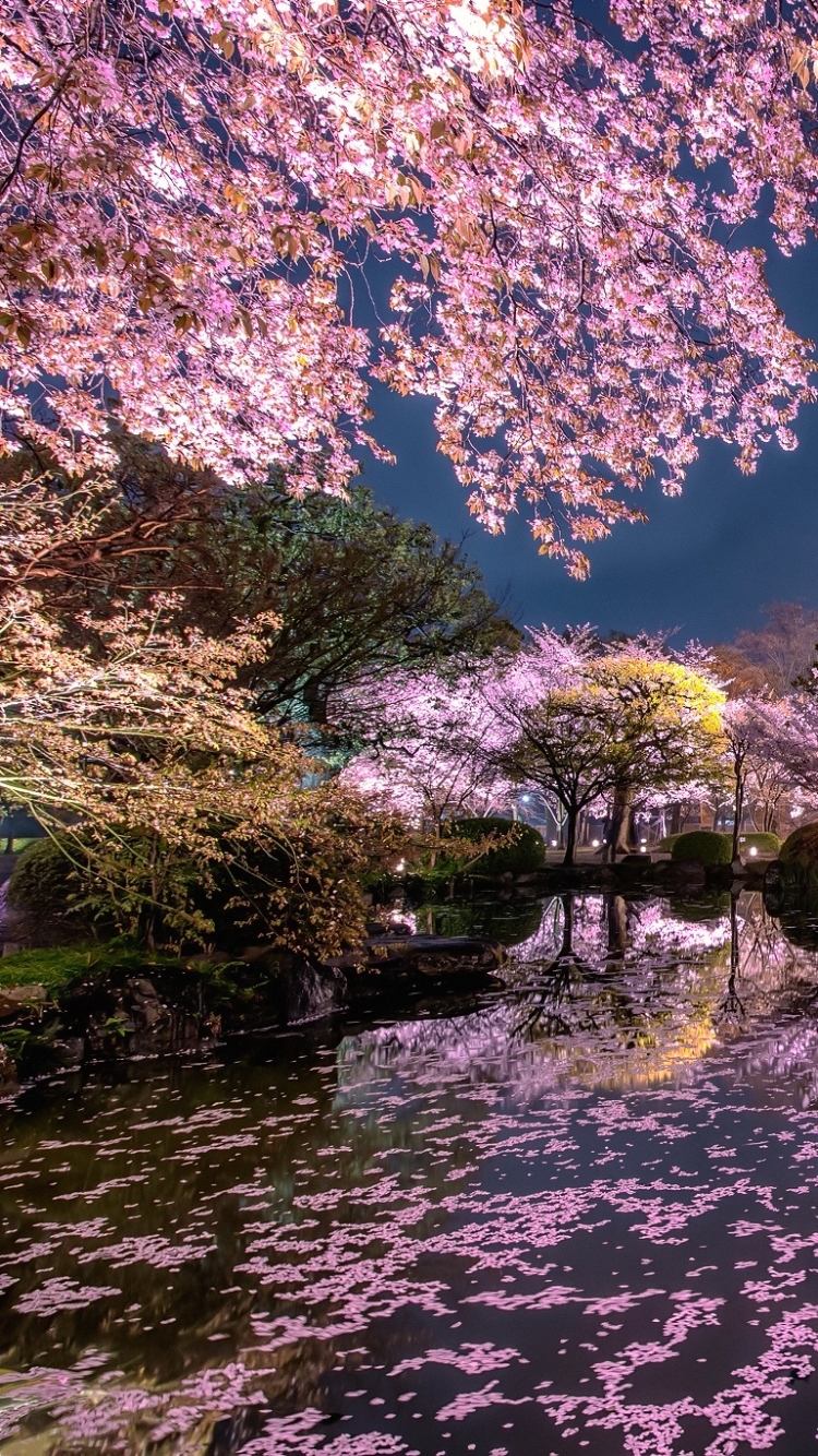 Скачать картинку Ночь, Озеро, Отражение, Япония, Весна, Фотографии в телефон бесплатно.