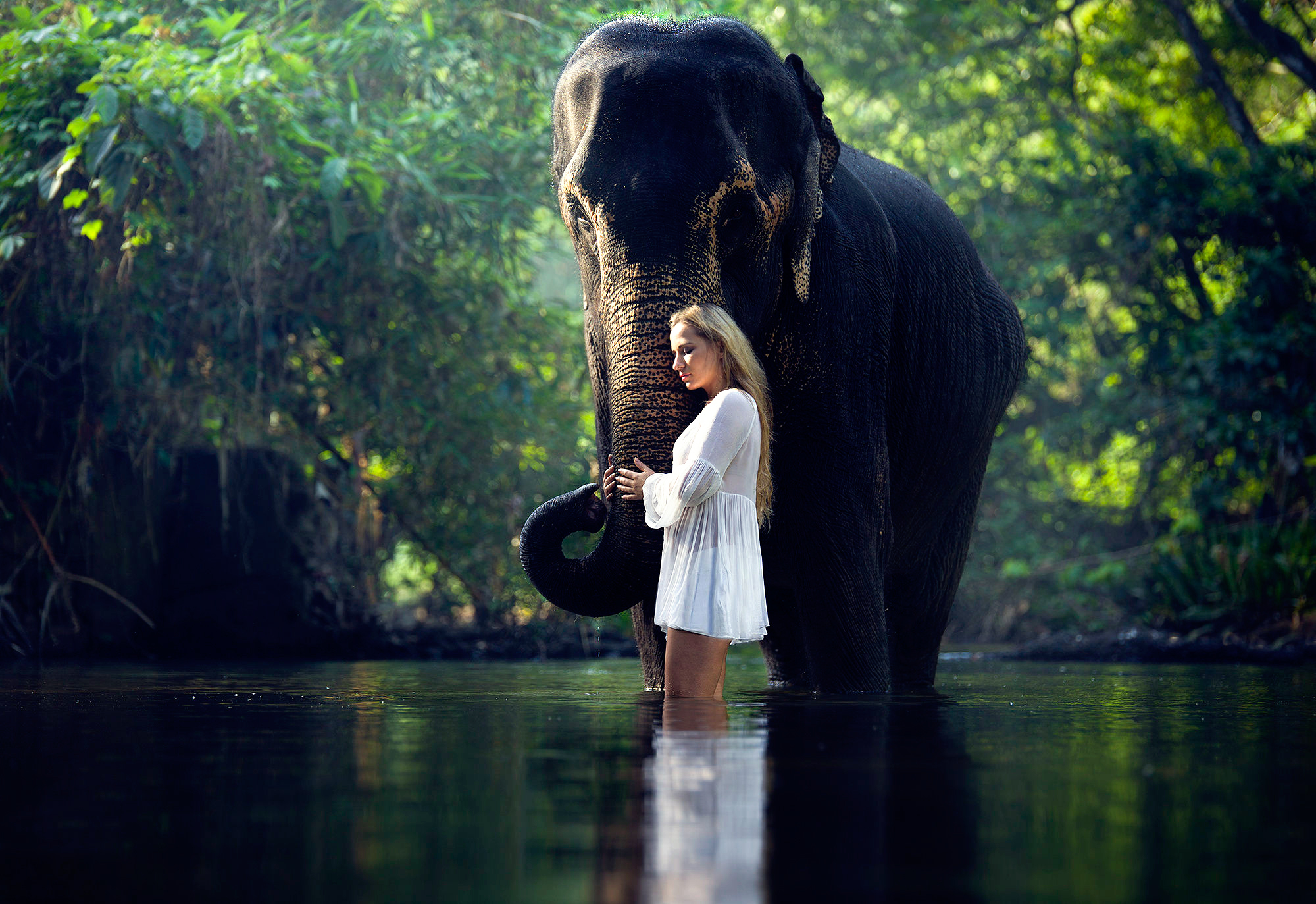 Download mobile wallpaper Reflection, Mood, Blonde, Elephant, Women for free.