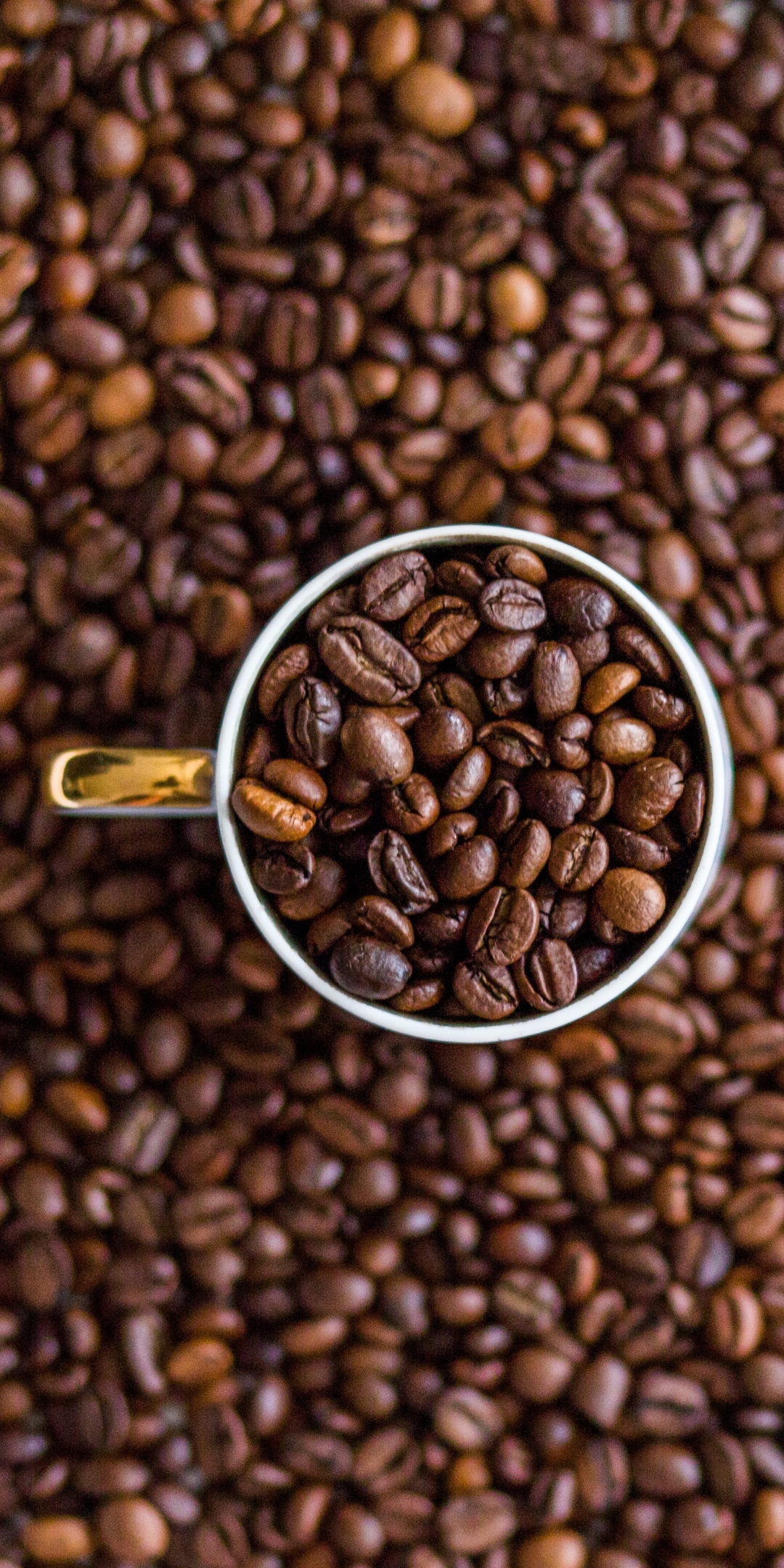 Download mobile wallpaper Food, Coffee, Cup, Coffee Beans for free.