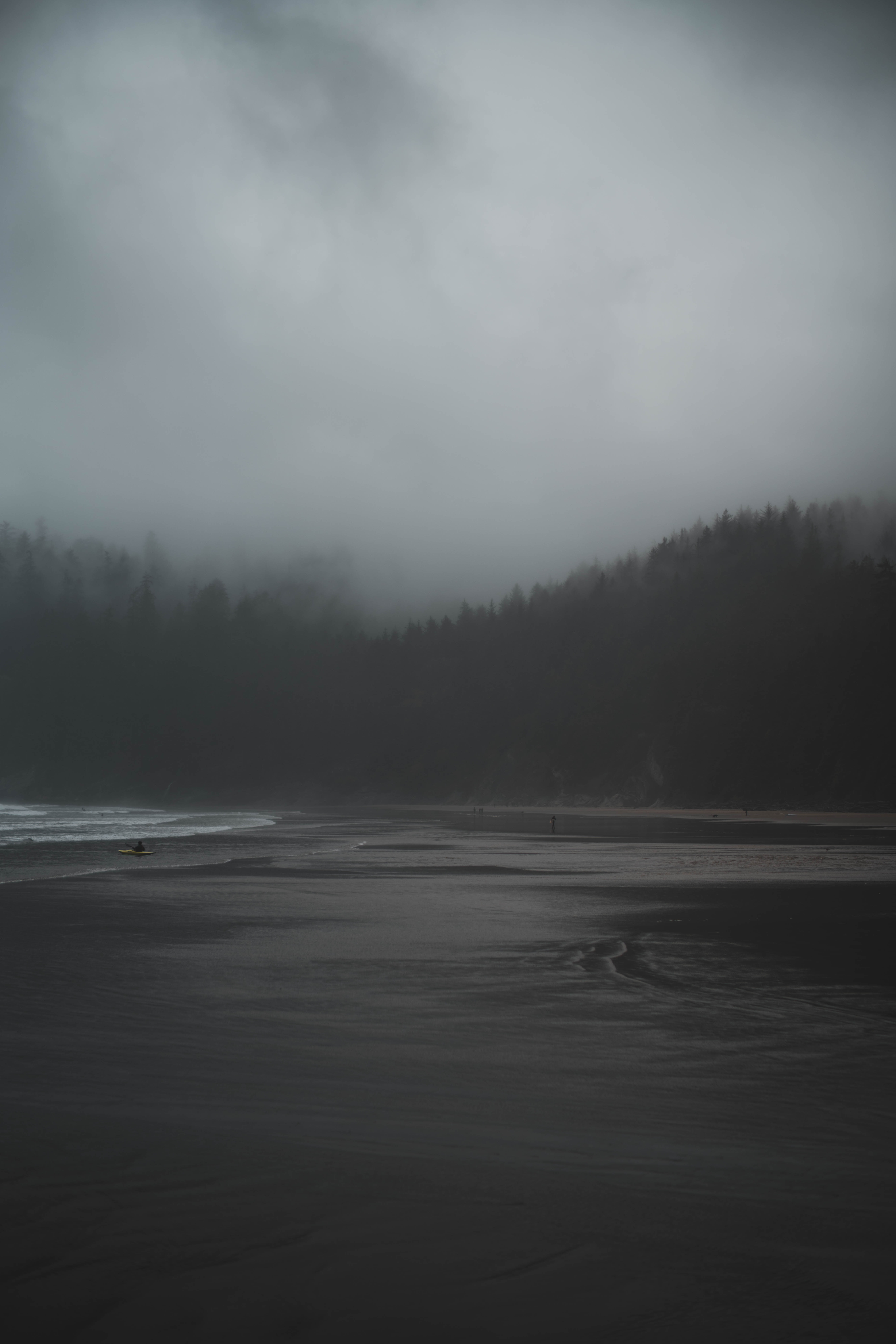 Download mobile wallpaper Rivers, Trees, Fog, Nature, Gloomy for free.