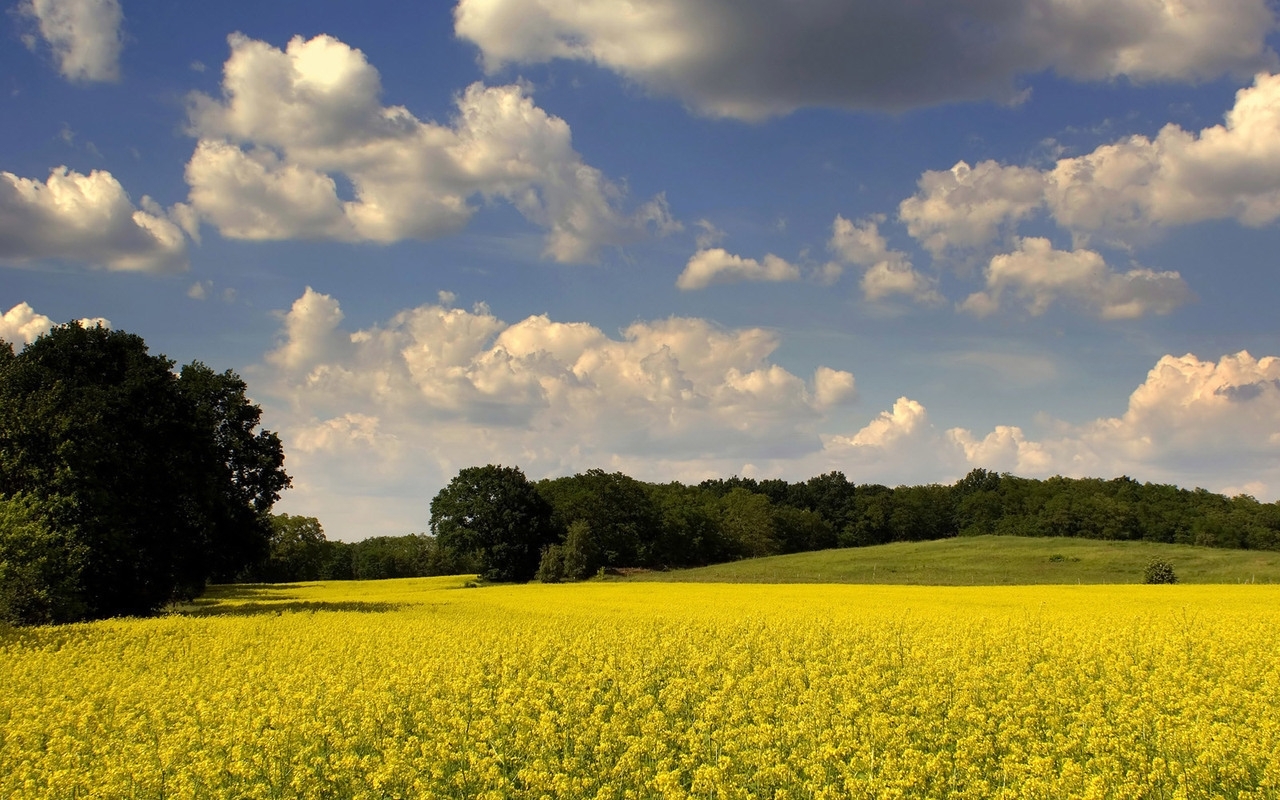 Download mobile wallpaper Fields, Sky, Landscape for free.
