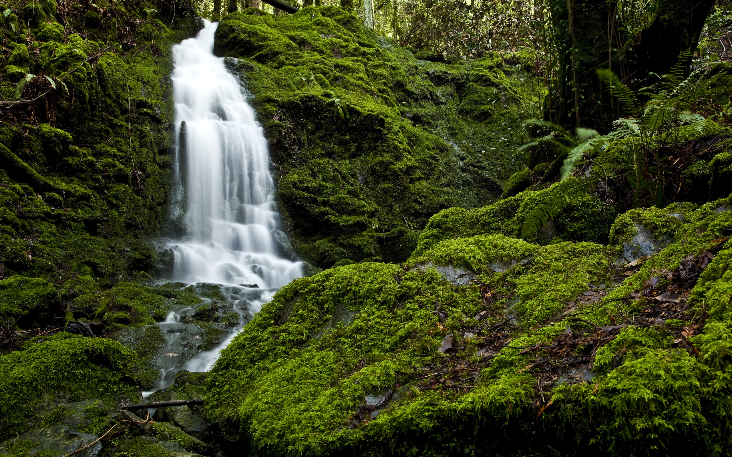 Download mobile wallpaper Greenery, Moss, Waterfall, Waterfalls, Earth for free.