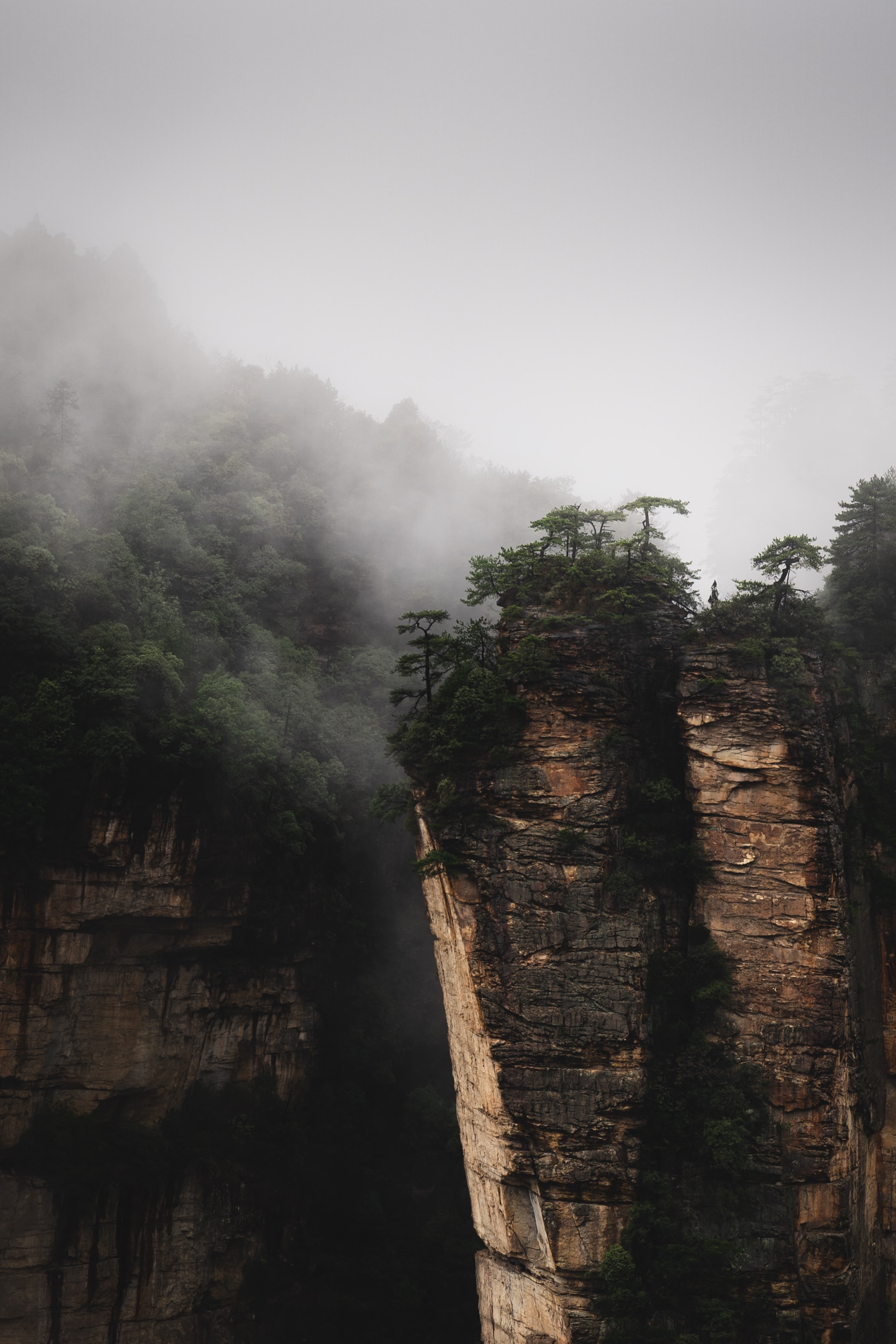 Download mobile wallpaper Fog, Rocks, Trees, Landscape, Nature for free.