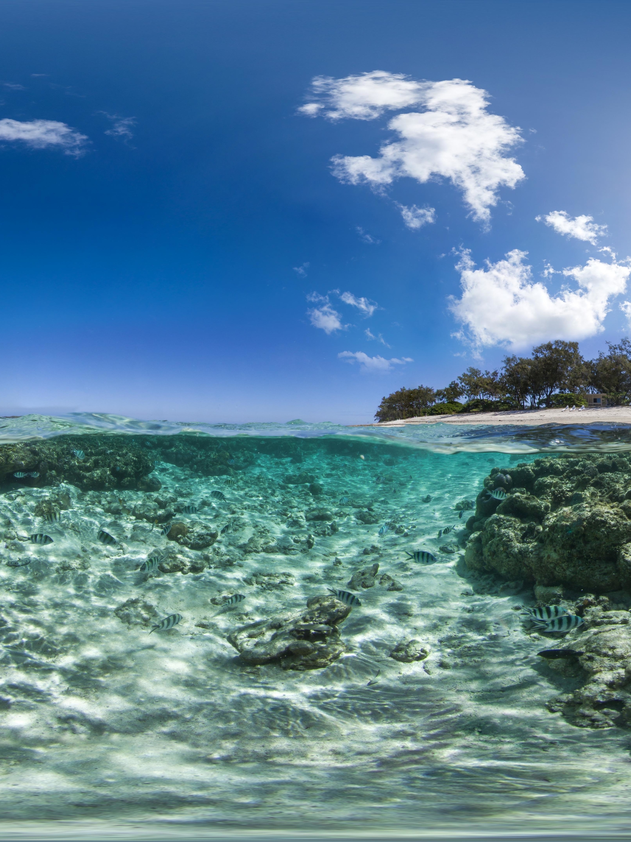 1384668 descargar fondo de pantalla tierra/naturaleza, submarino, australia, isla, gran barrera de coral, océano: protectores de pantalla e imágenes gratis