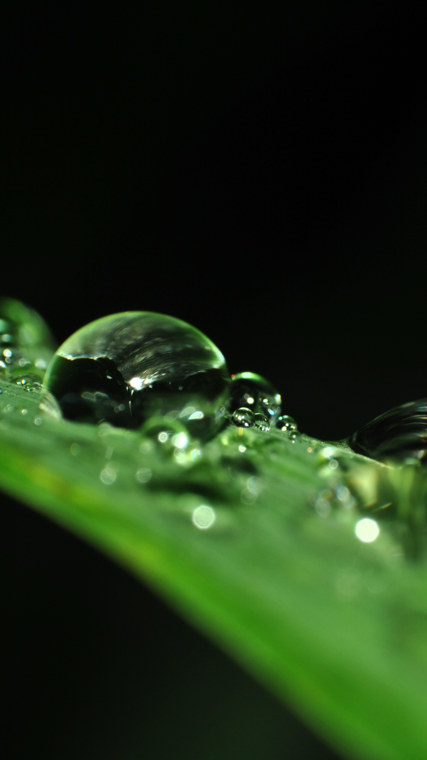 Download mobile wallpaper Macro, Leaf, Earth, Water Drop for free.