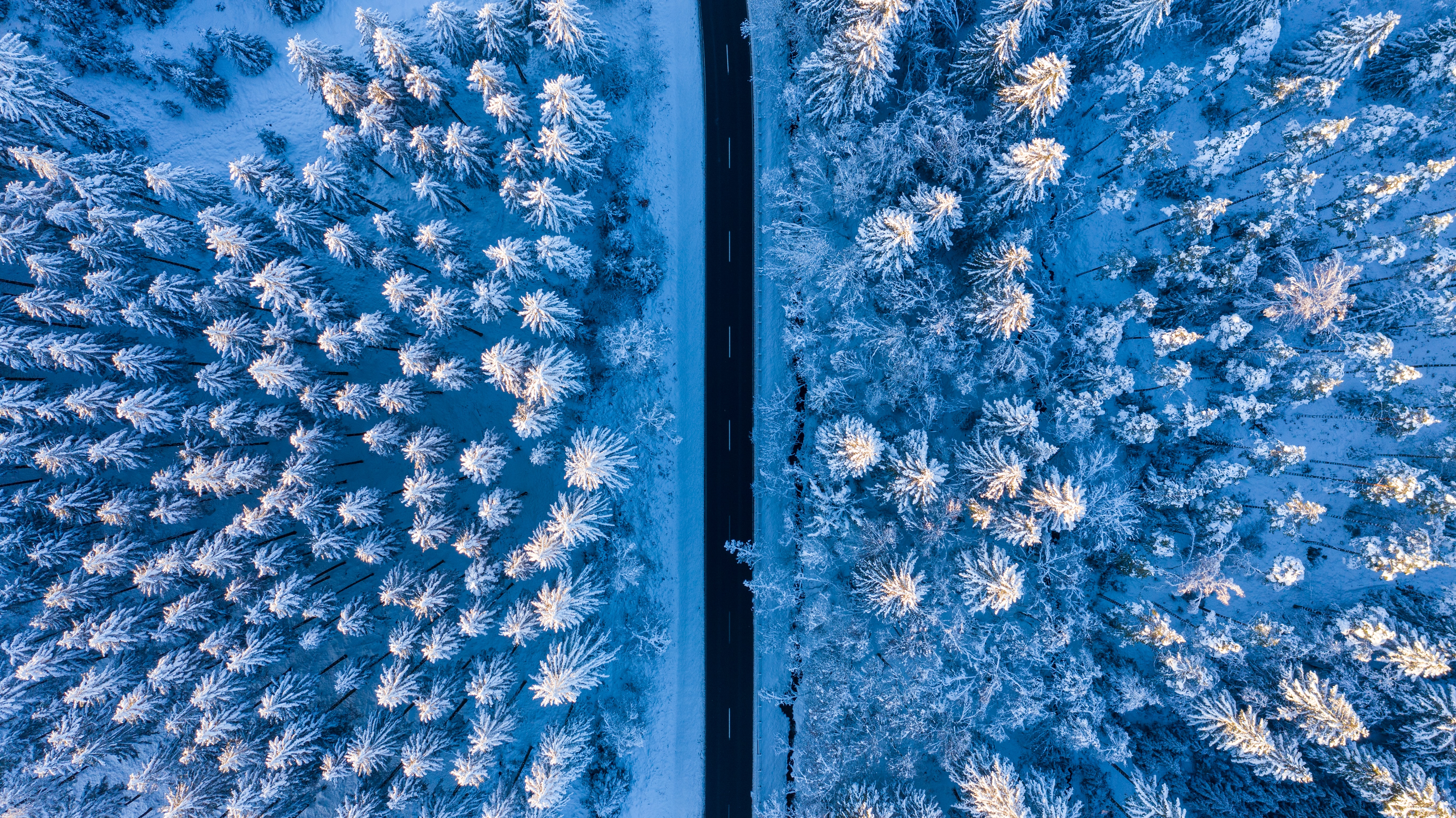 view from above, nature, snow, road, forest 4K for PC