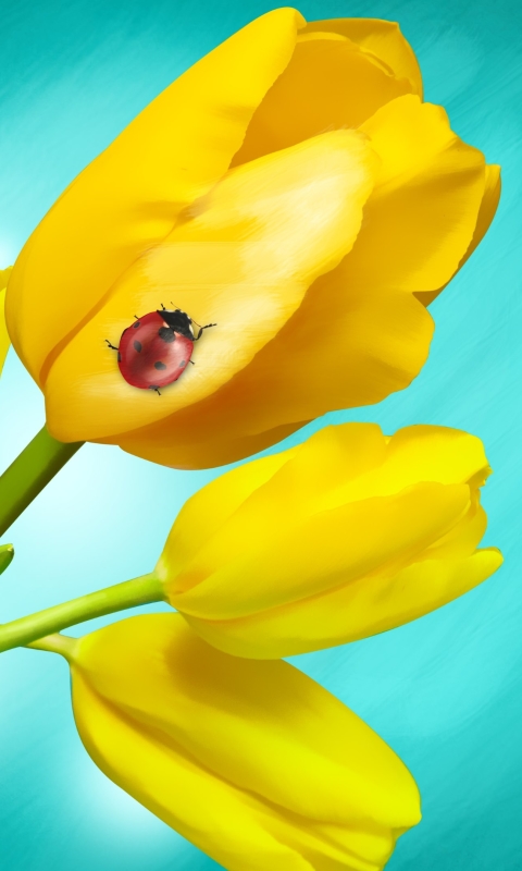 Download mobile wallpaper Nature, Flowers, Earth, Ladybug, Tulip, Yellow Flower for free.