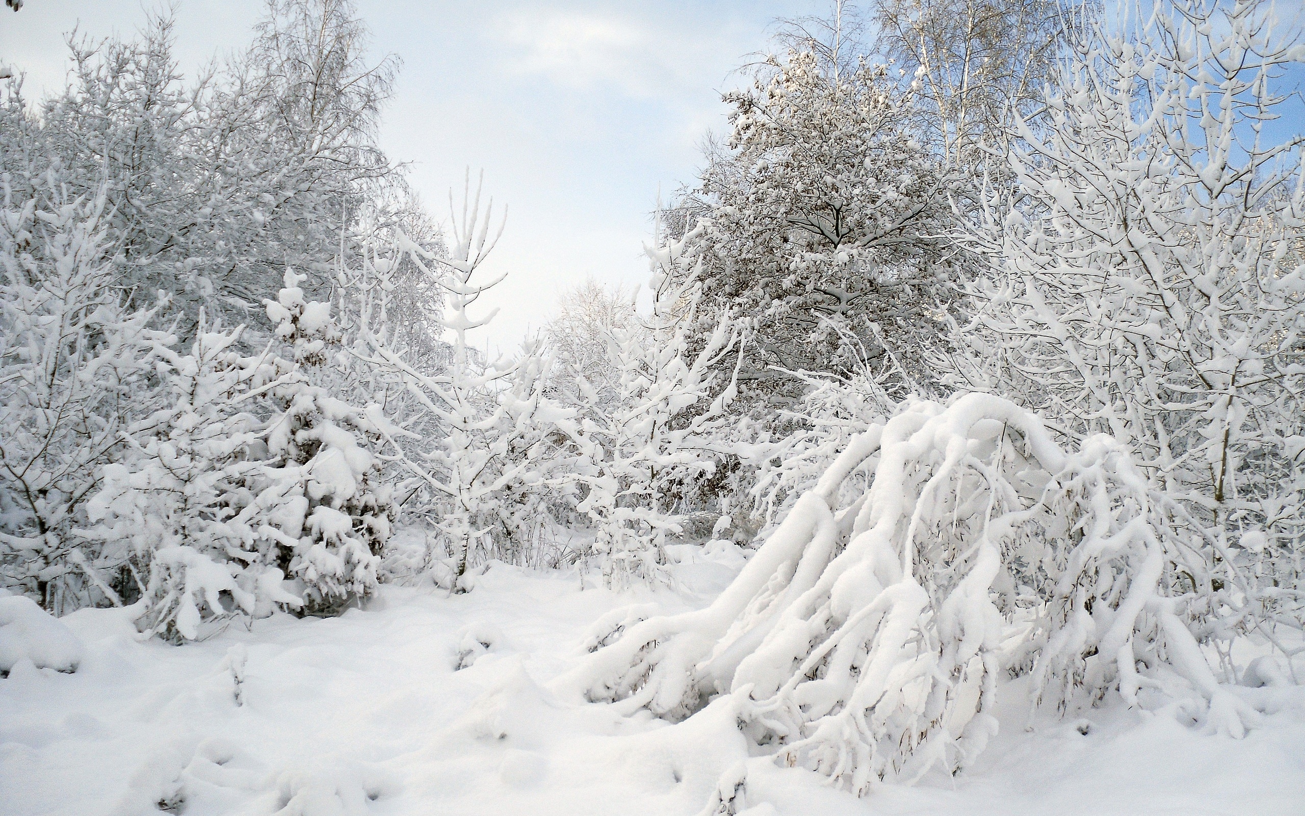 Handy-Wallpaper Winter, Erde/natur kostenlos herunterladen.